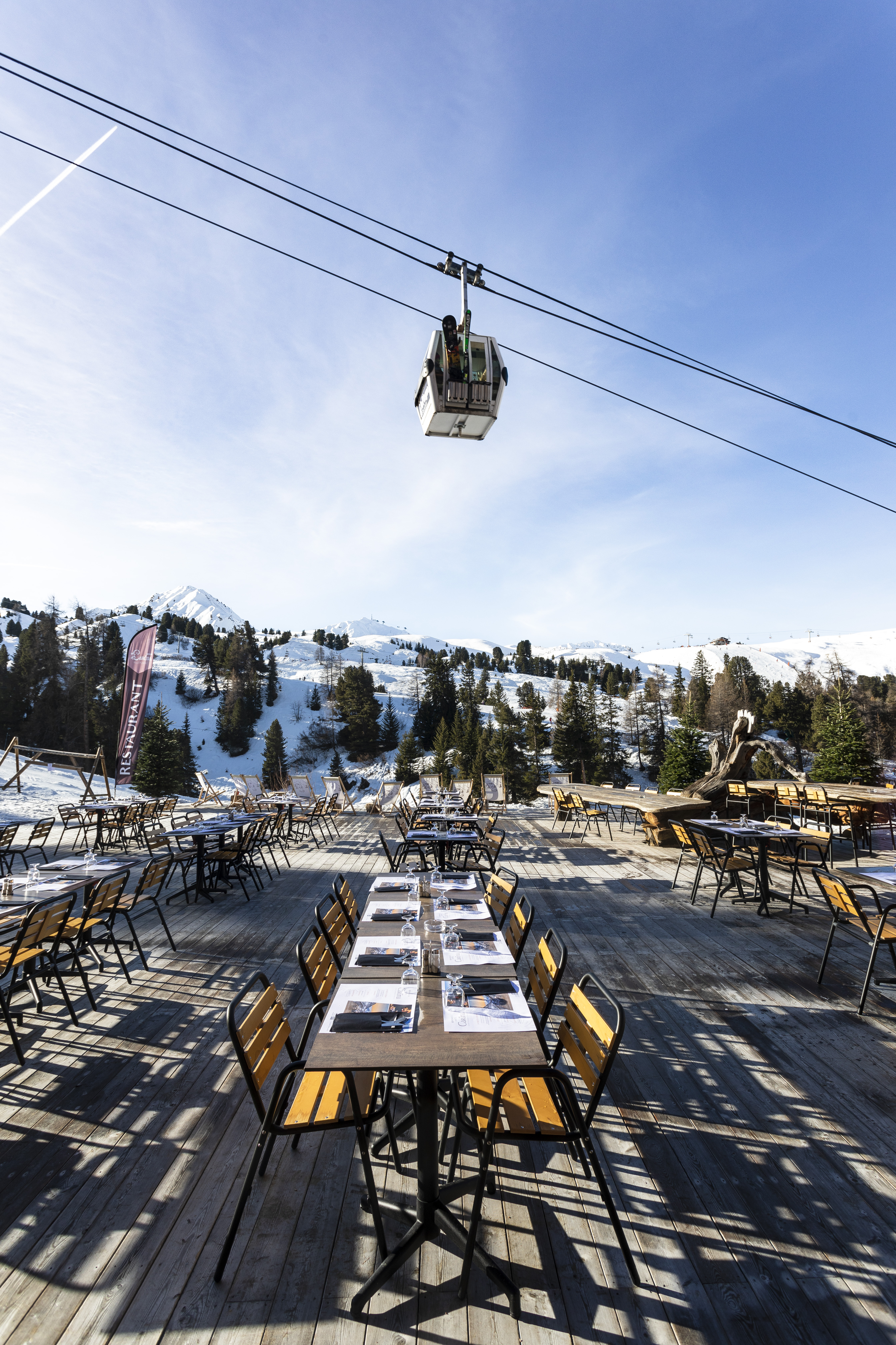 Carlina Belle Plagne