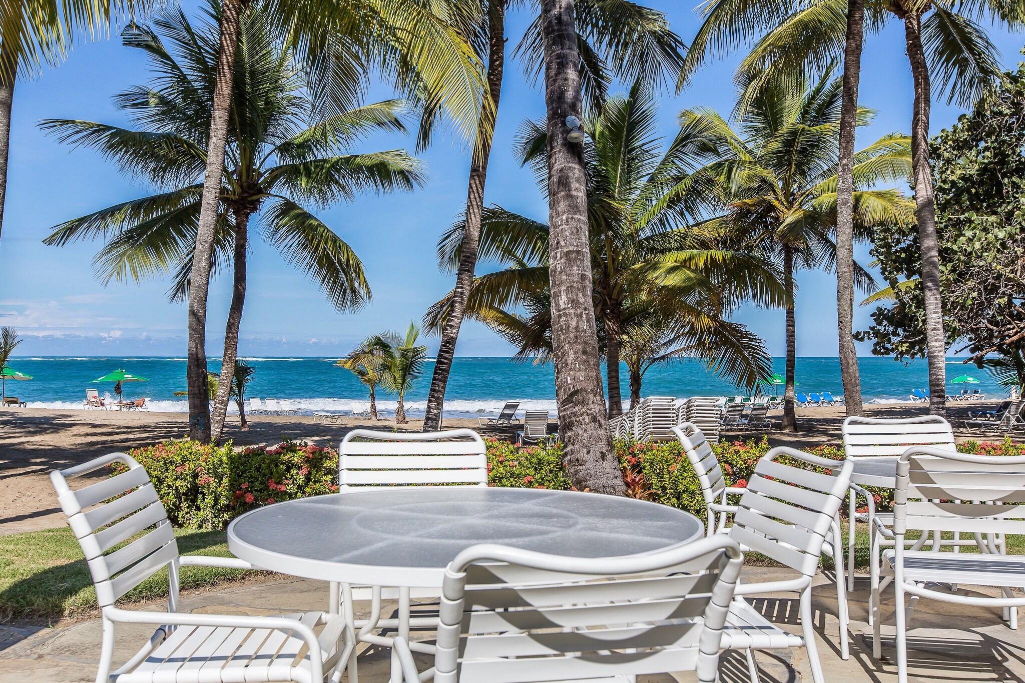 Cabarete Palm Beach Condos