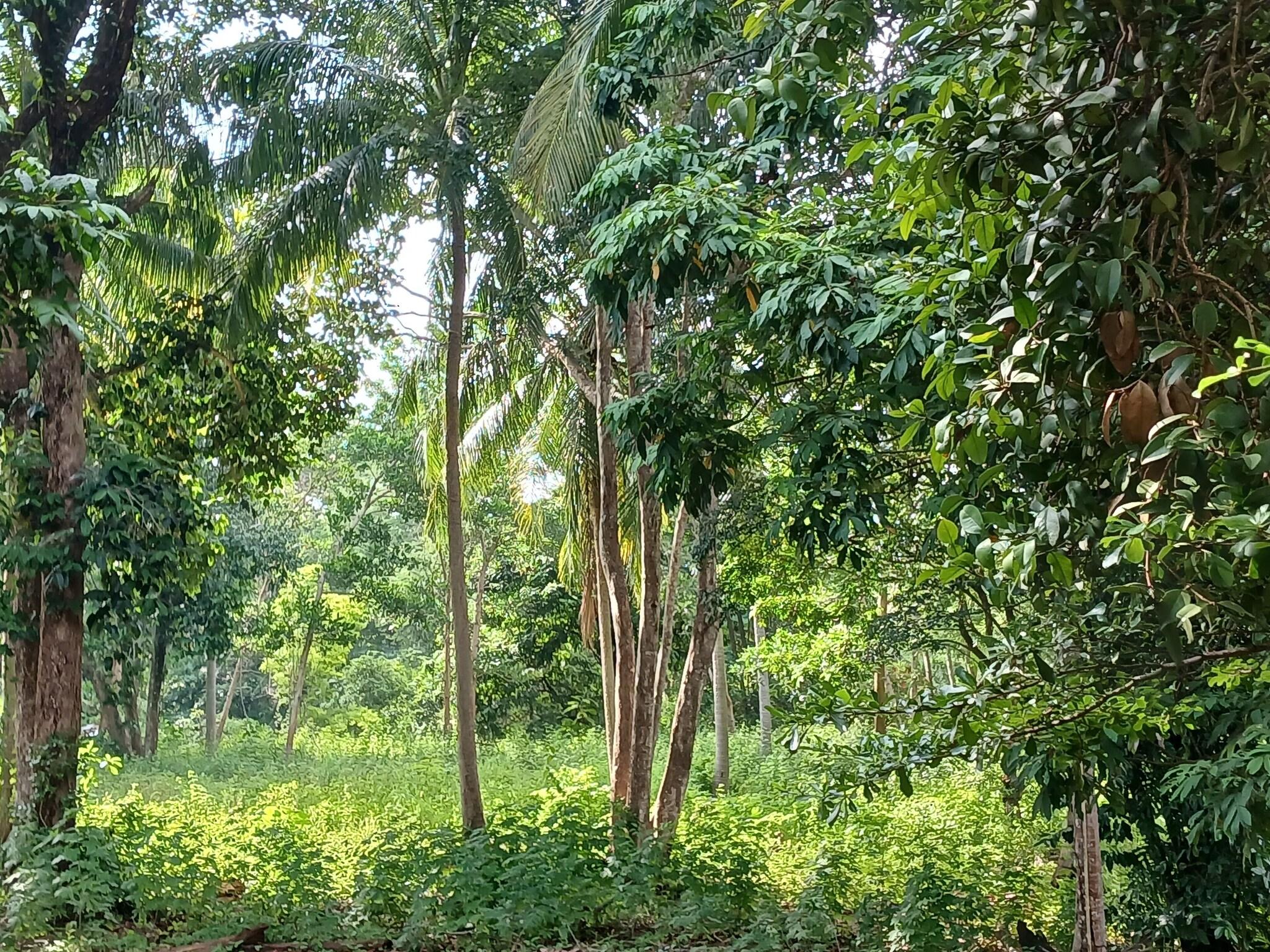 General view
