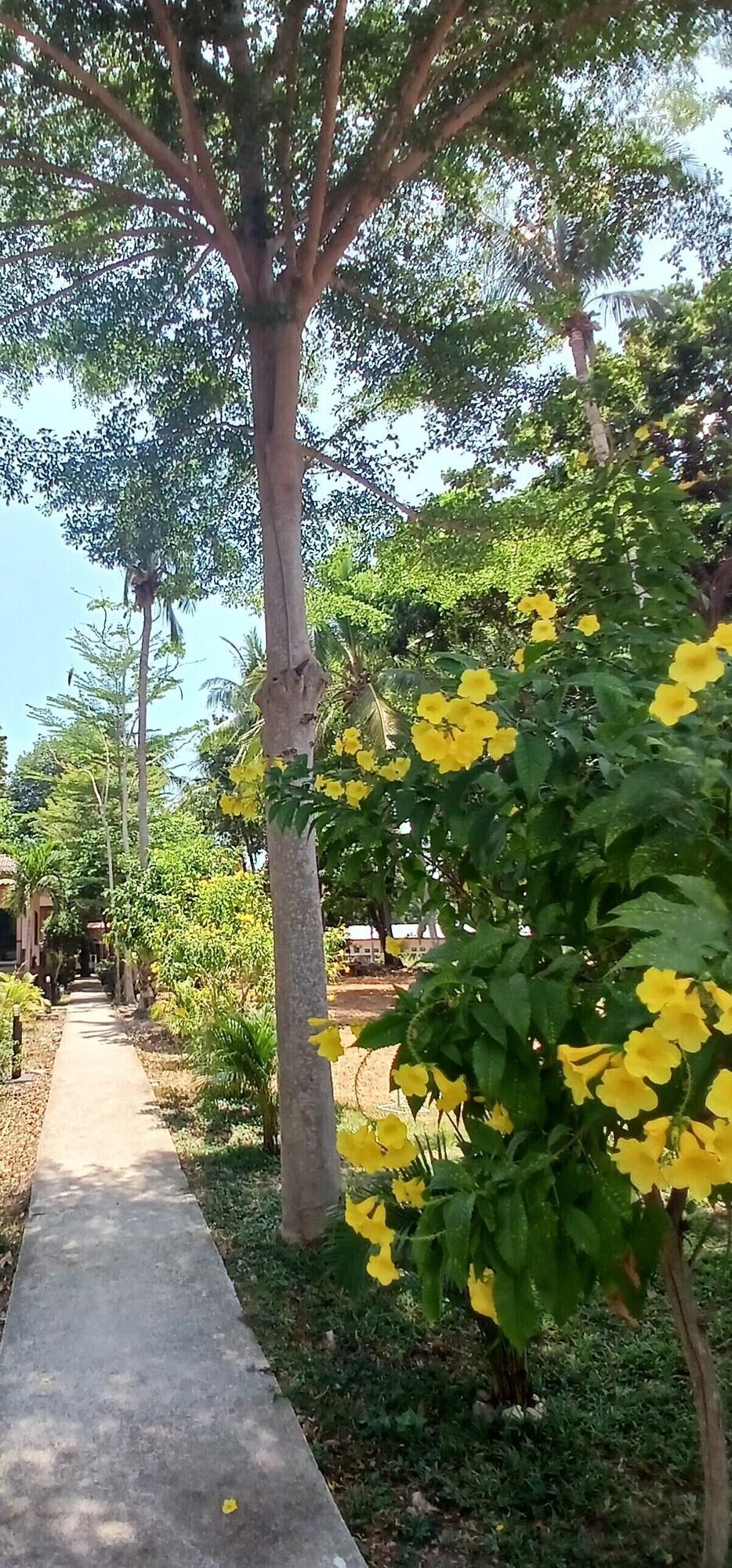 Terrace 5, Baan Long Beach, Ko Lanta