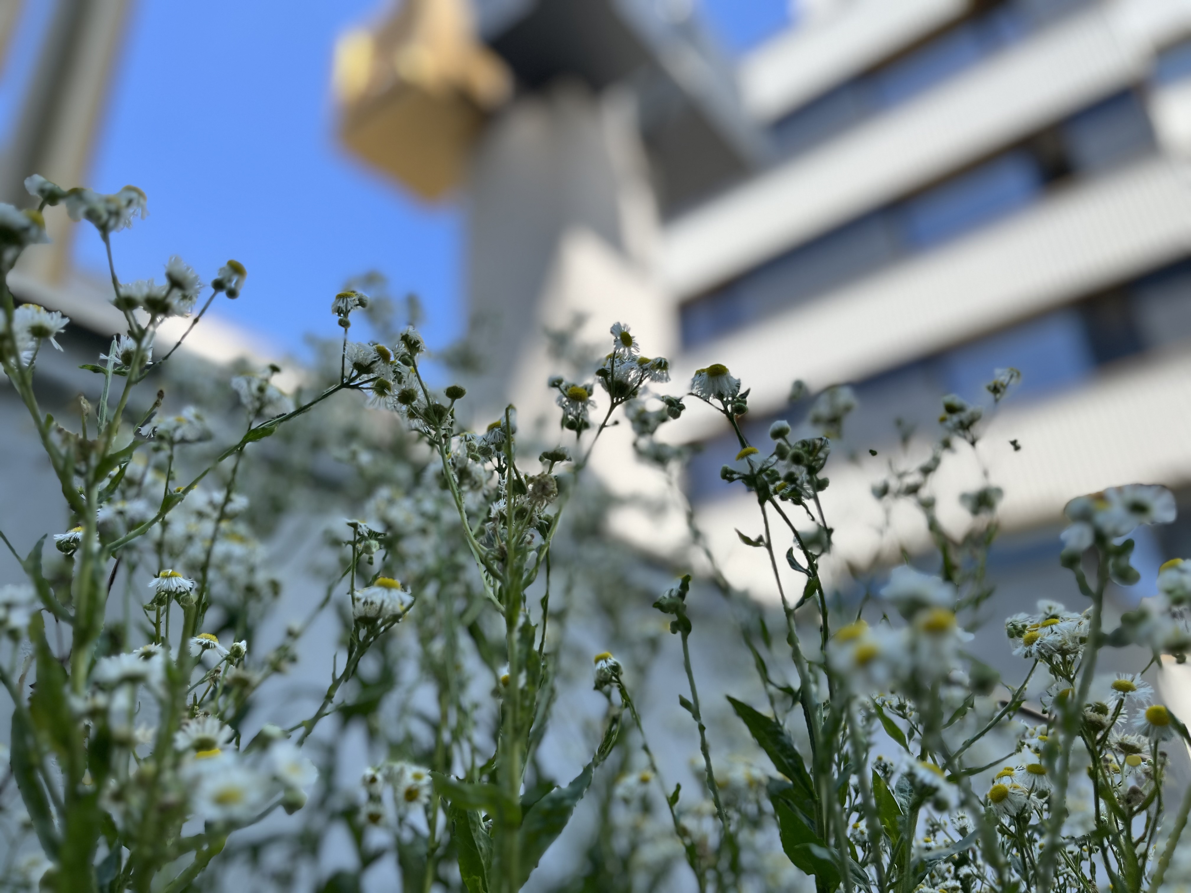 Post 120 Suites - attēls