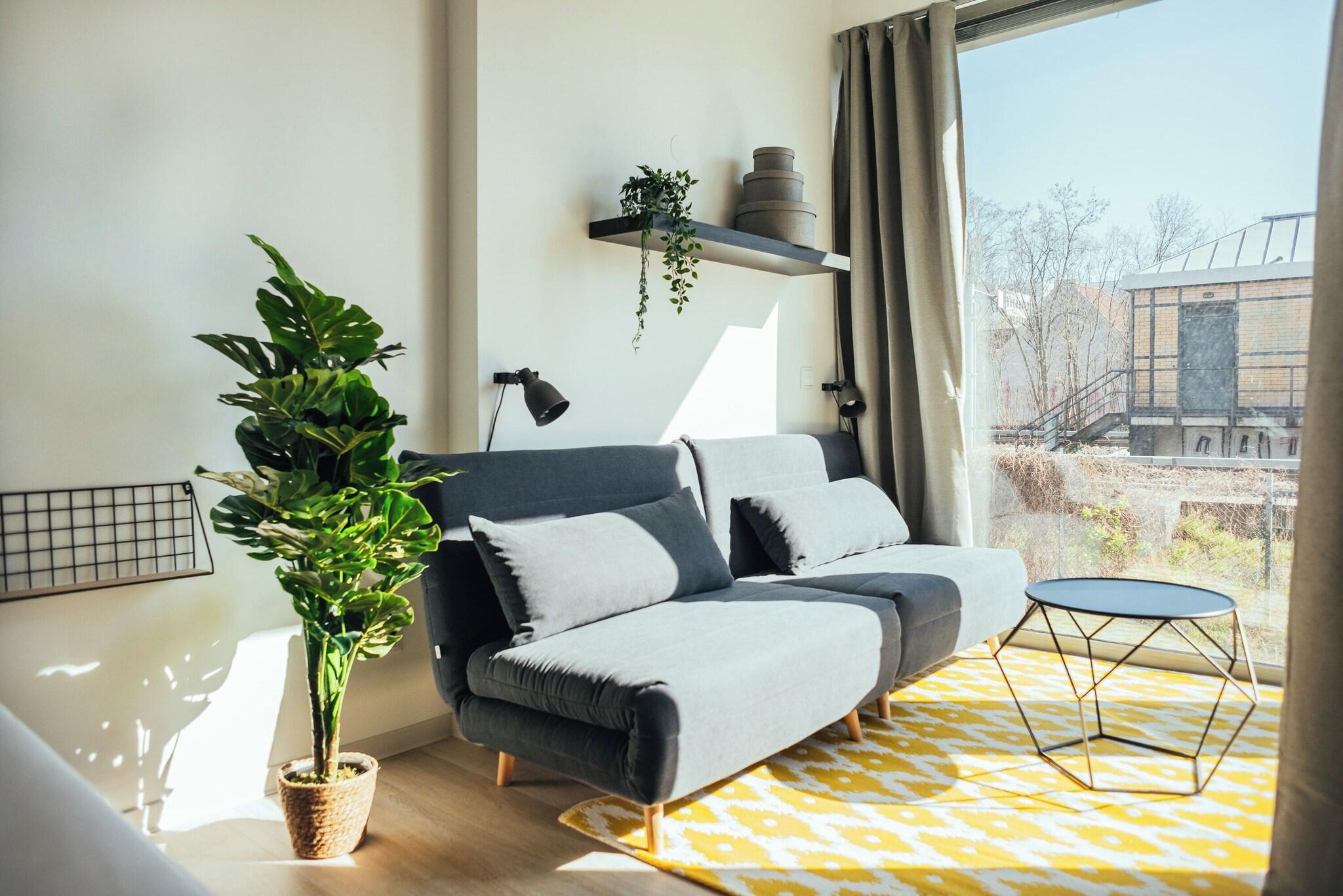 The Rix Studios Suites