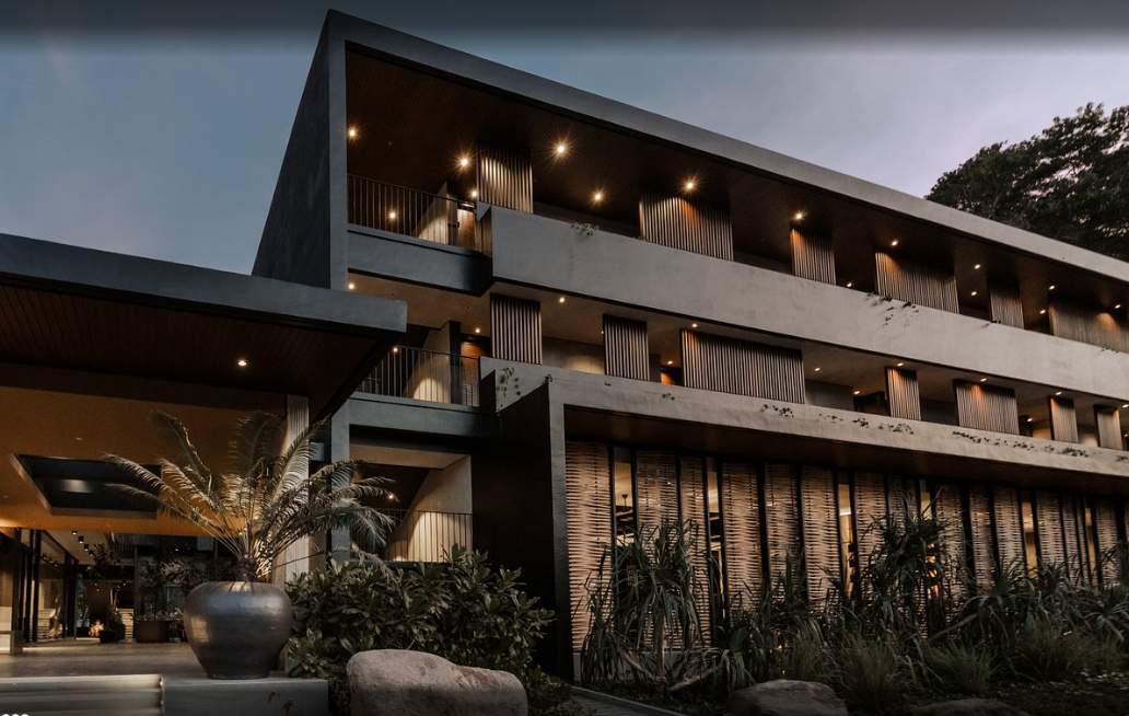 The Funny Lion - El Nido by null