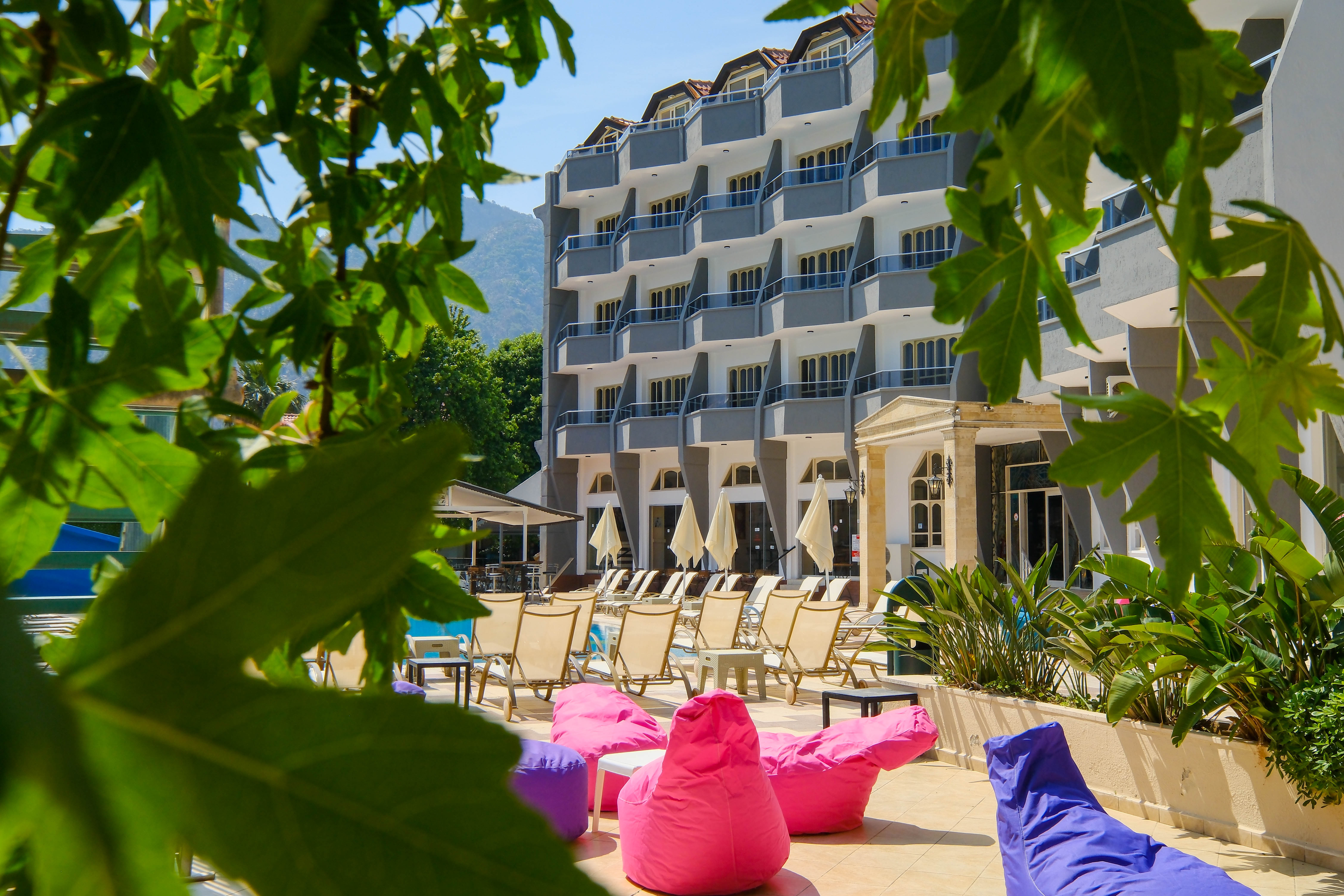 Selen Icmeler - Poză