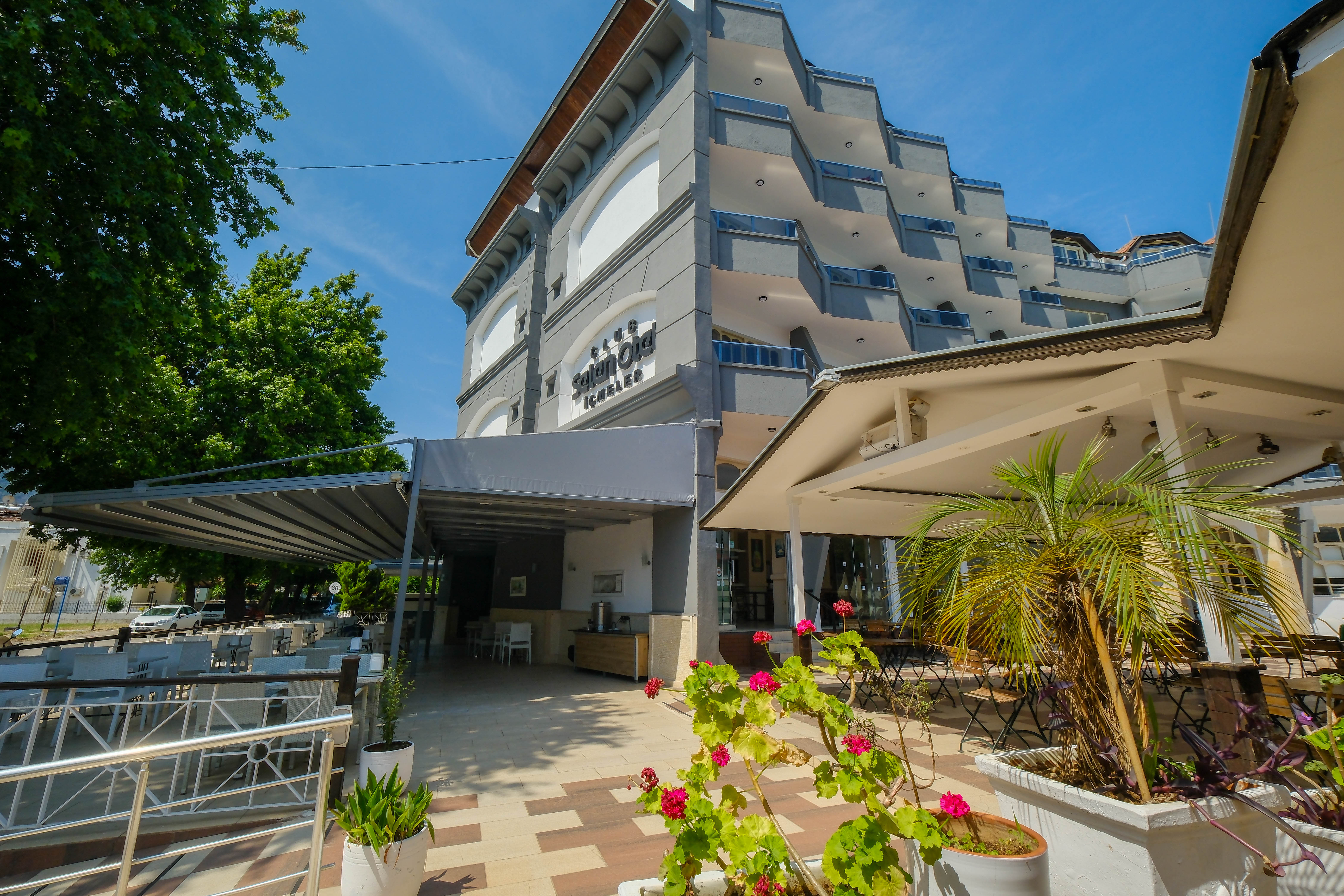 Selen Icmeler - Poză