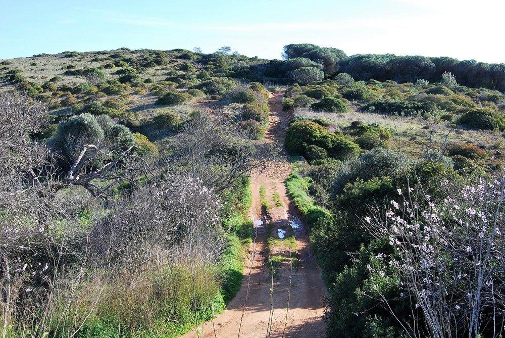 Praia do Burgau