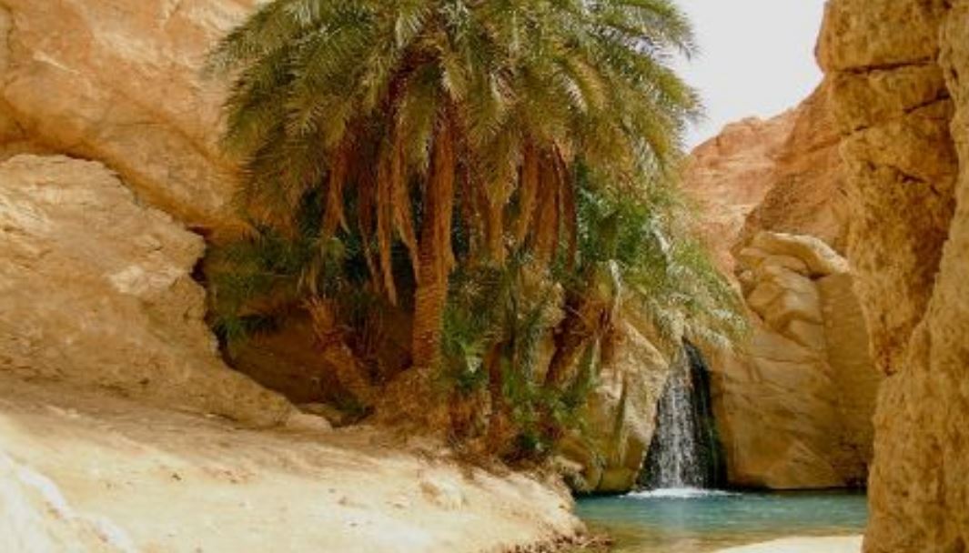 El Mouradi Tozeur