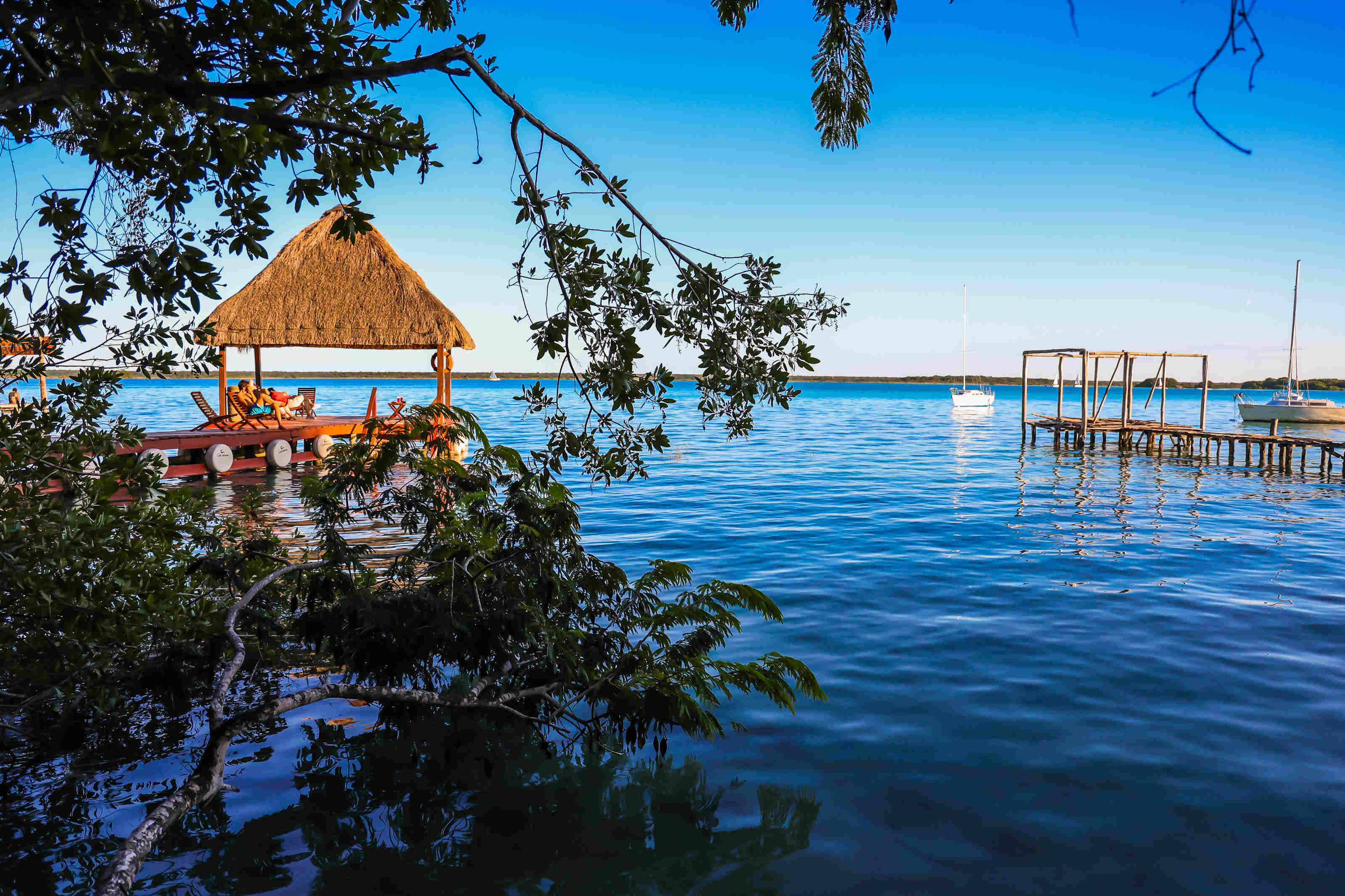 Carolina Bacalar by null