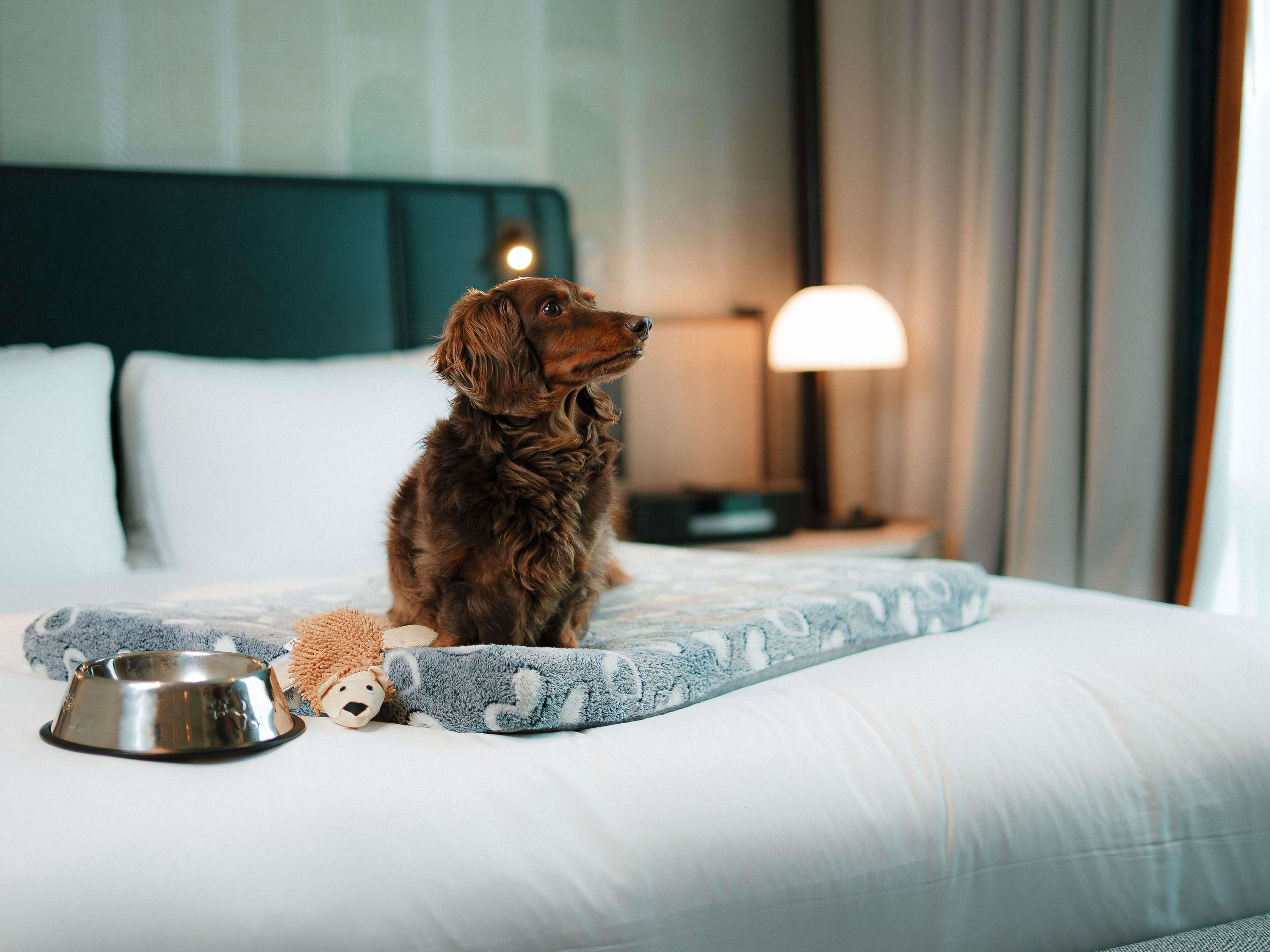 Sofitel Montreal Golden Mile by null