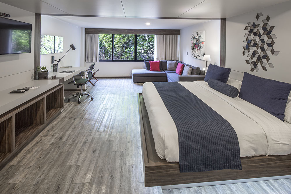 Flow Condesa by null