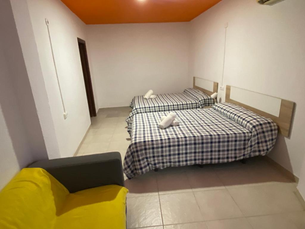Arc House Ribera
