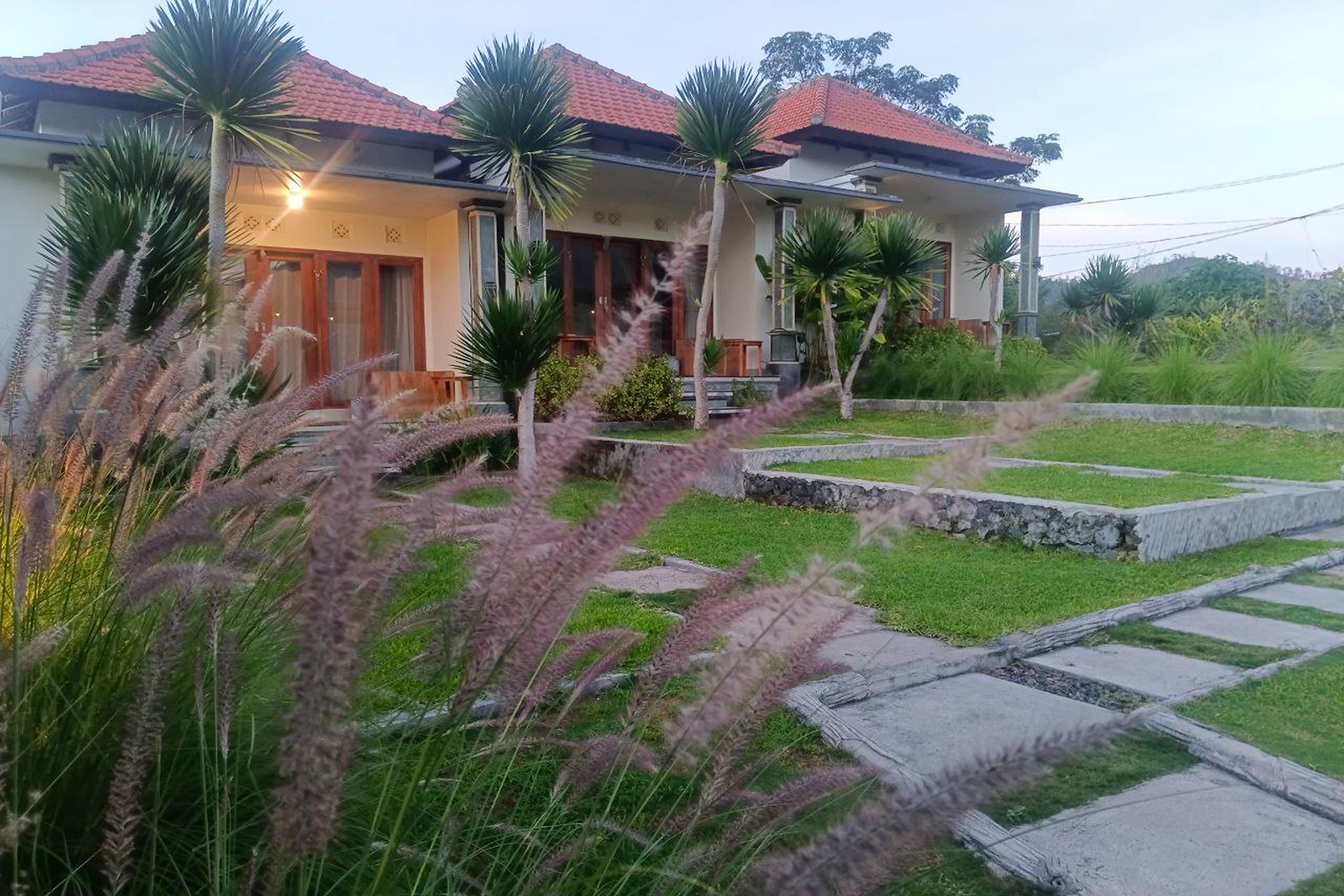 Onion Garden And Natural Hotspring By Zuzu