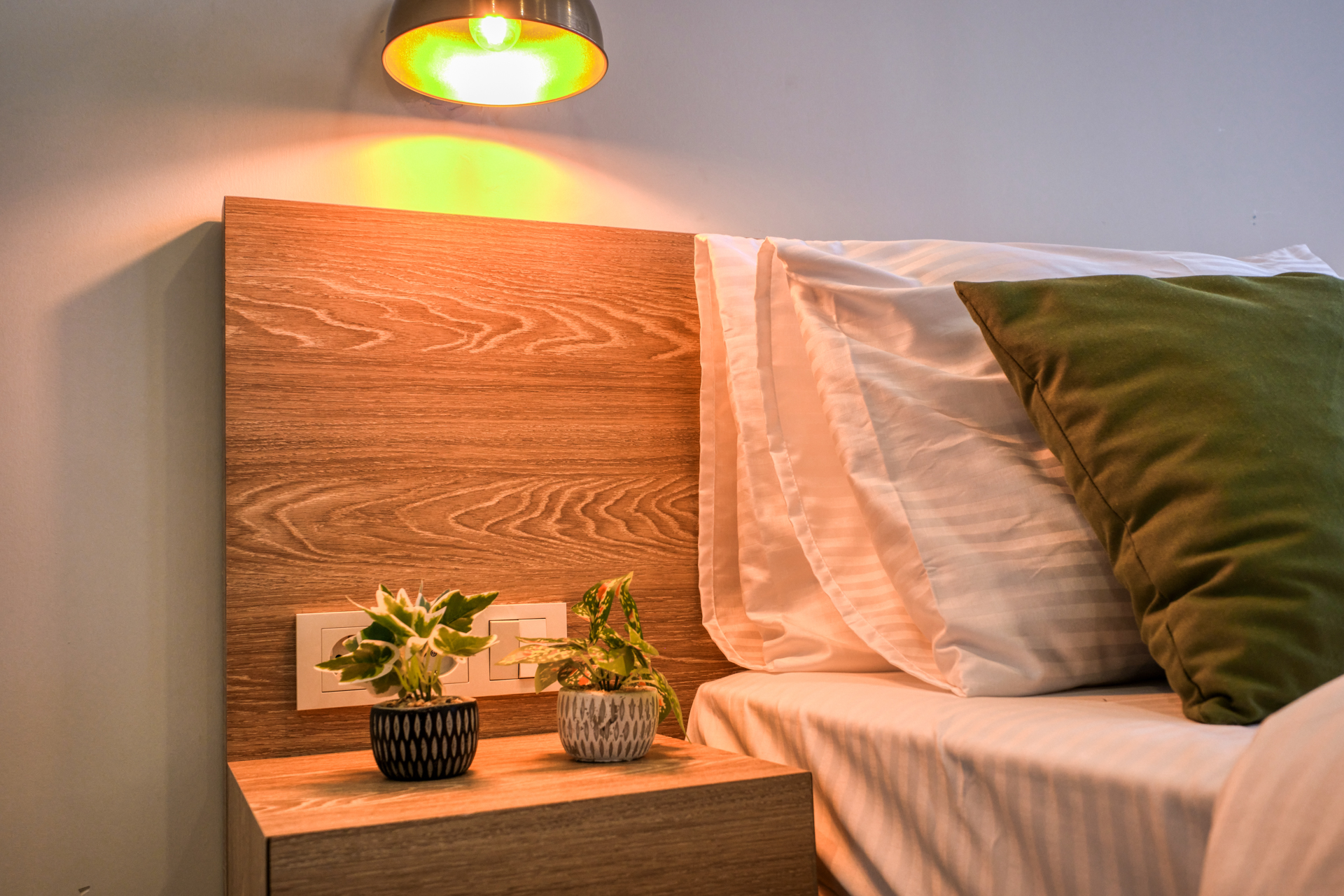 Elephant In The Room - Фото 4