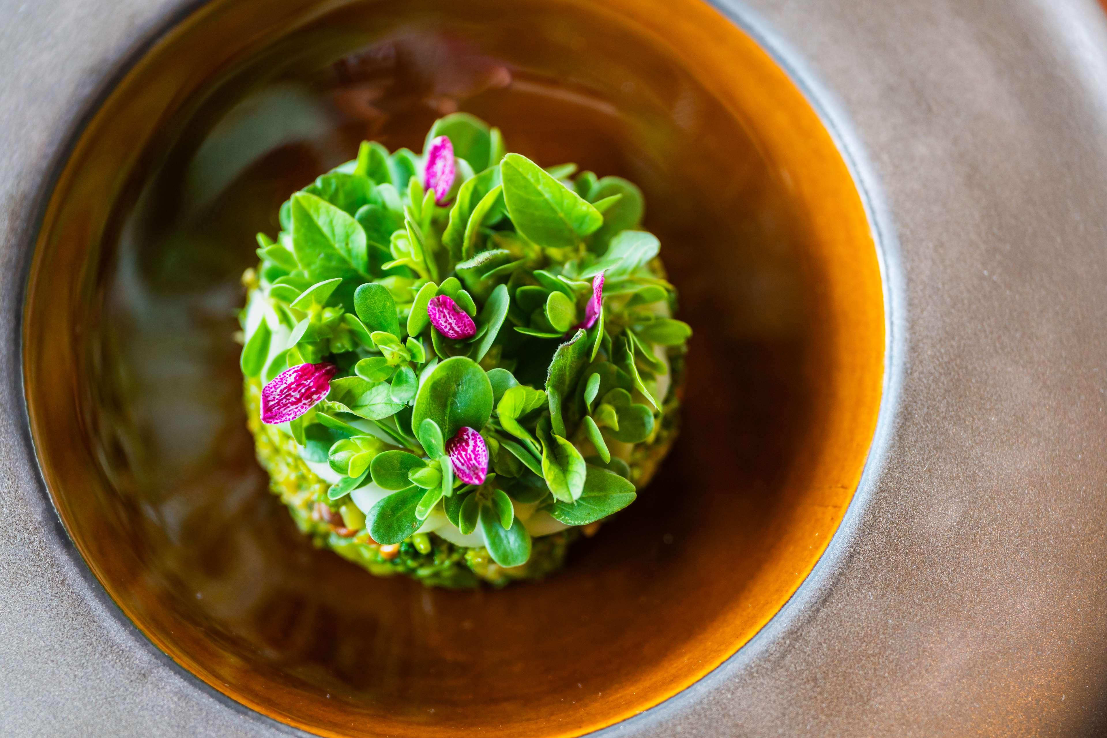 Waldorf Astoria Seychelles Platte Island by null