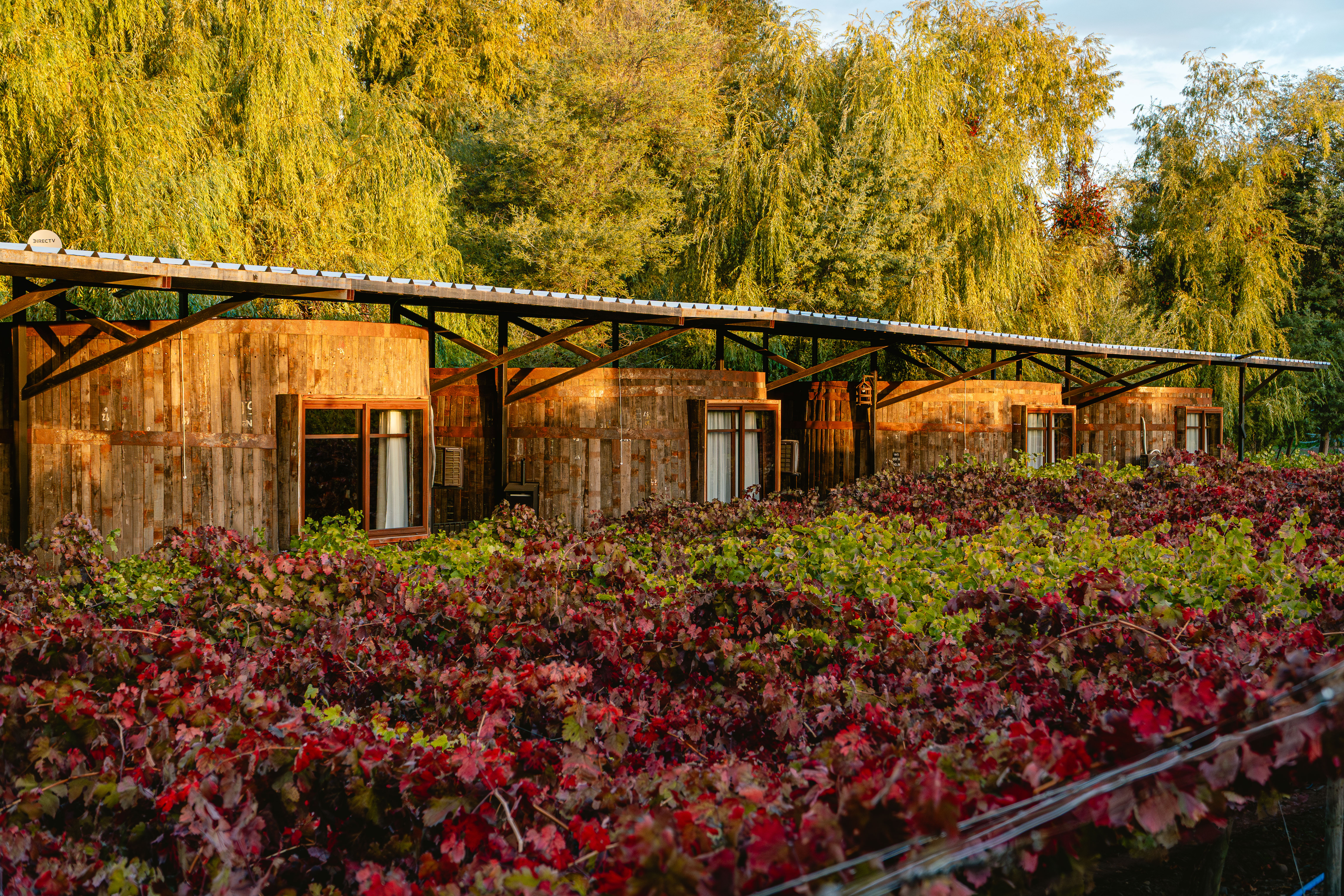 Hotel Cava Colchagua