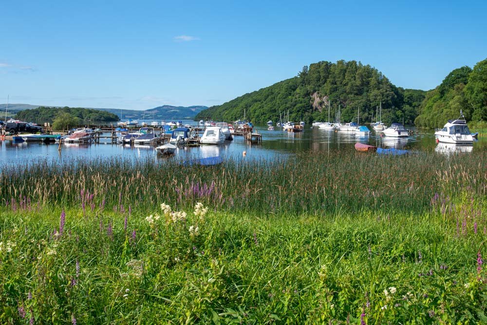 Oak Tree Inn by null