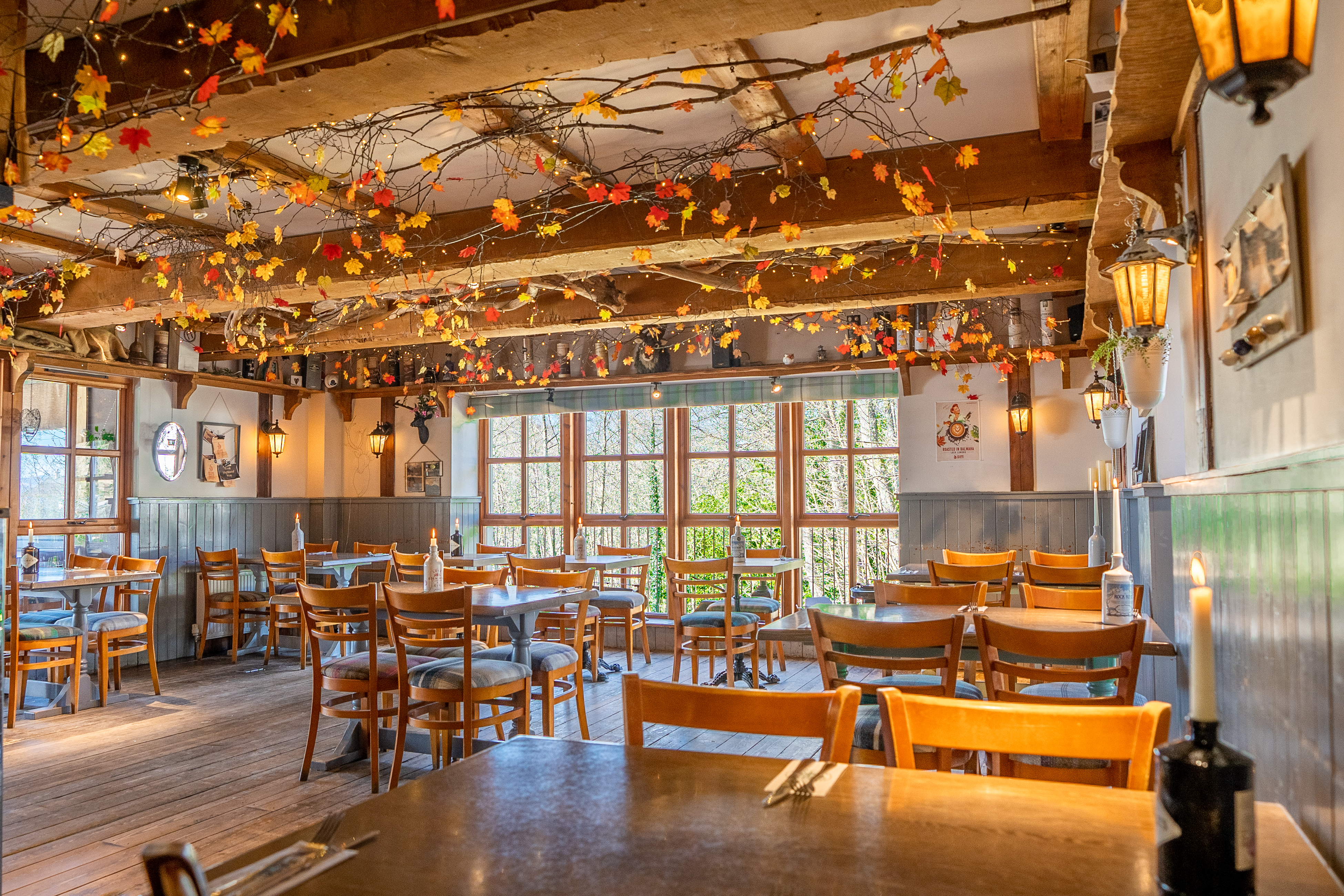 Oak Tree Inn
