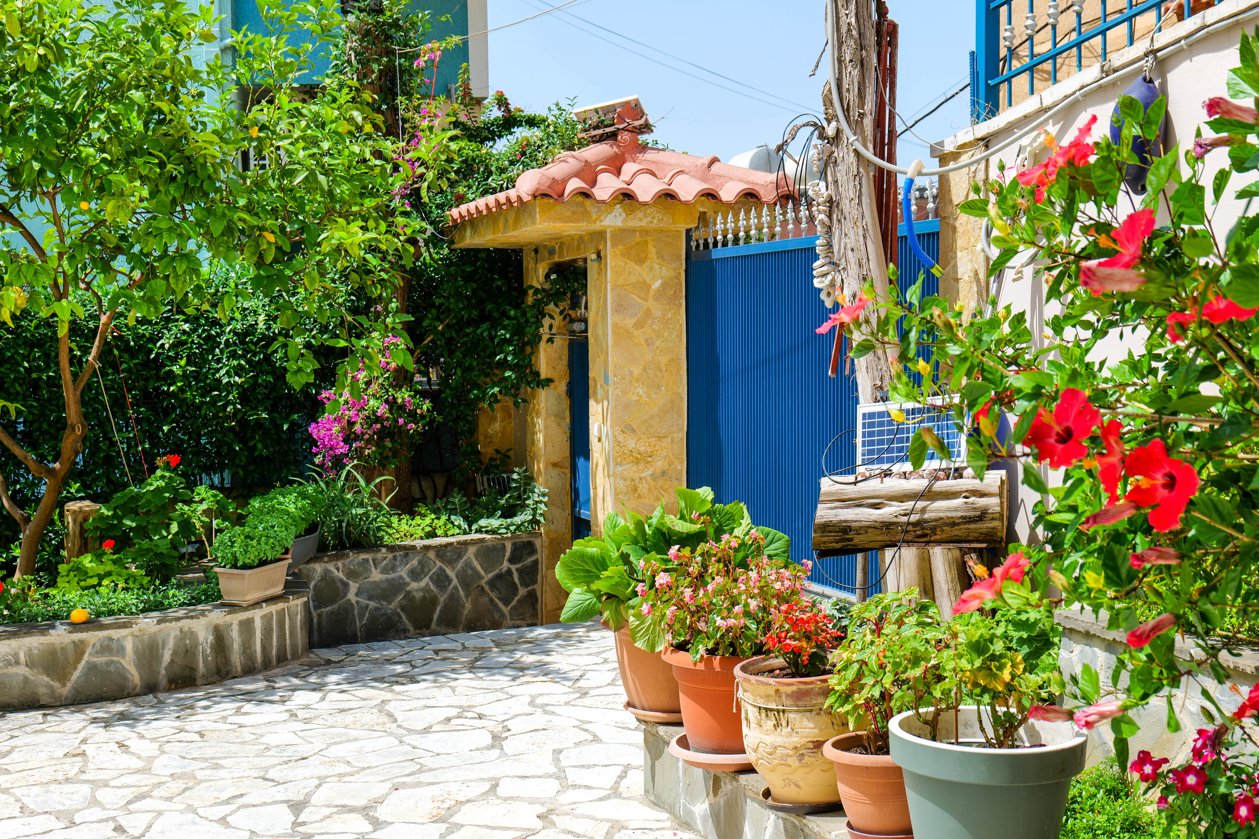 Elidon Apartments - nuotrauka