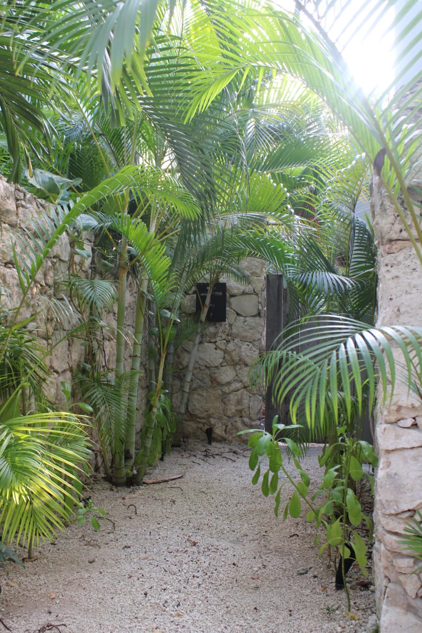 Kuun Taak Tulum