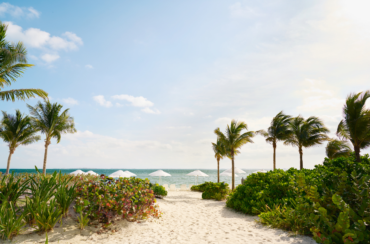 SLS Playa Mujeres by null