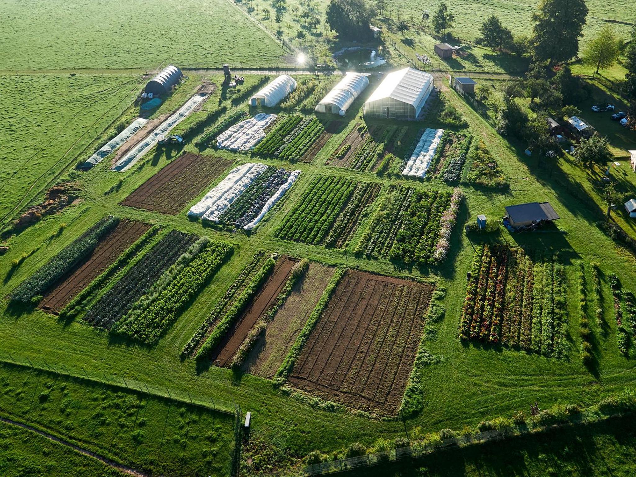 Lindengut Biohotel