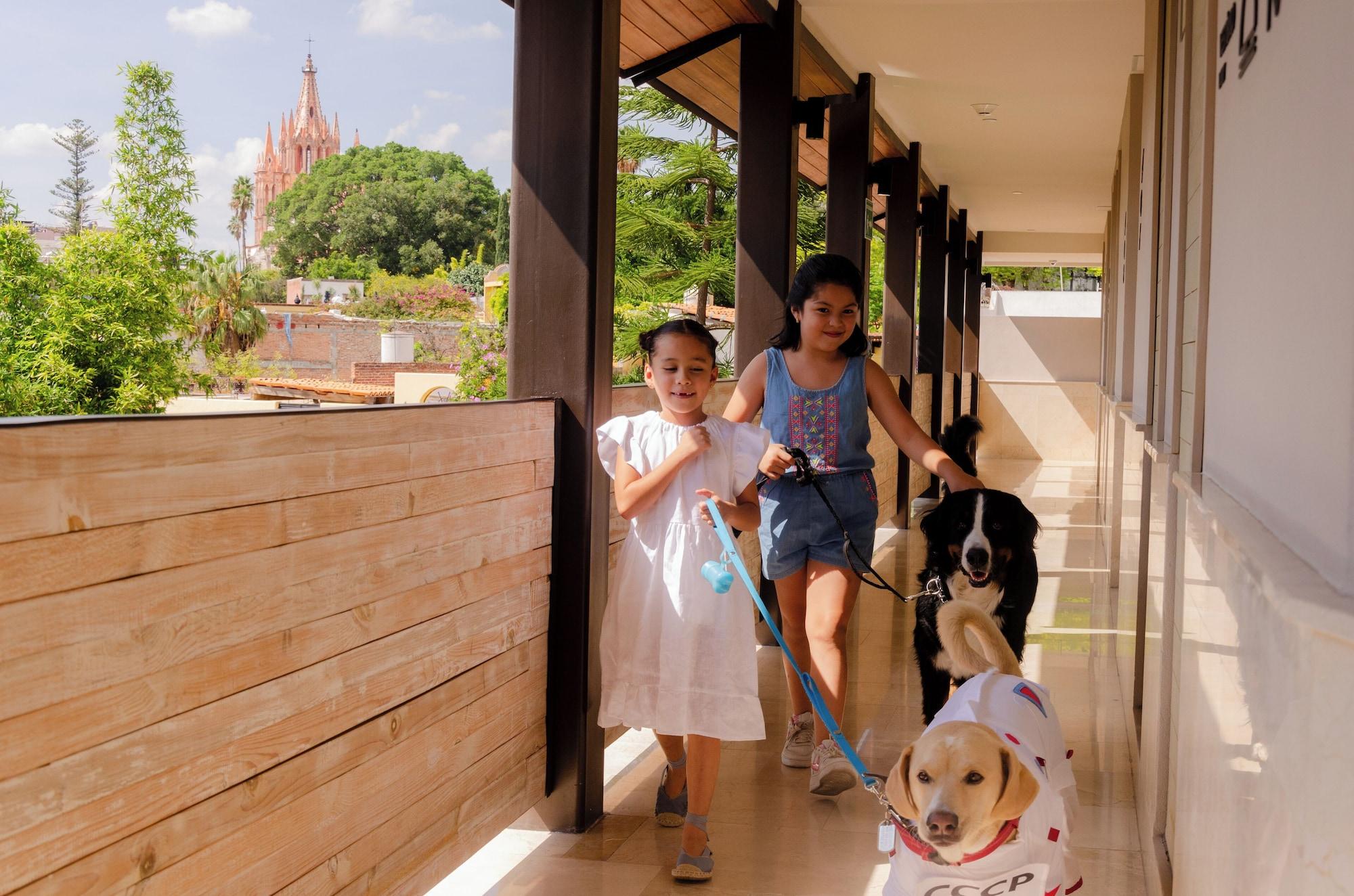 Numu Boutique Hotel San Miguel de Allende - The Unbound Collection by Hyatt by null