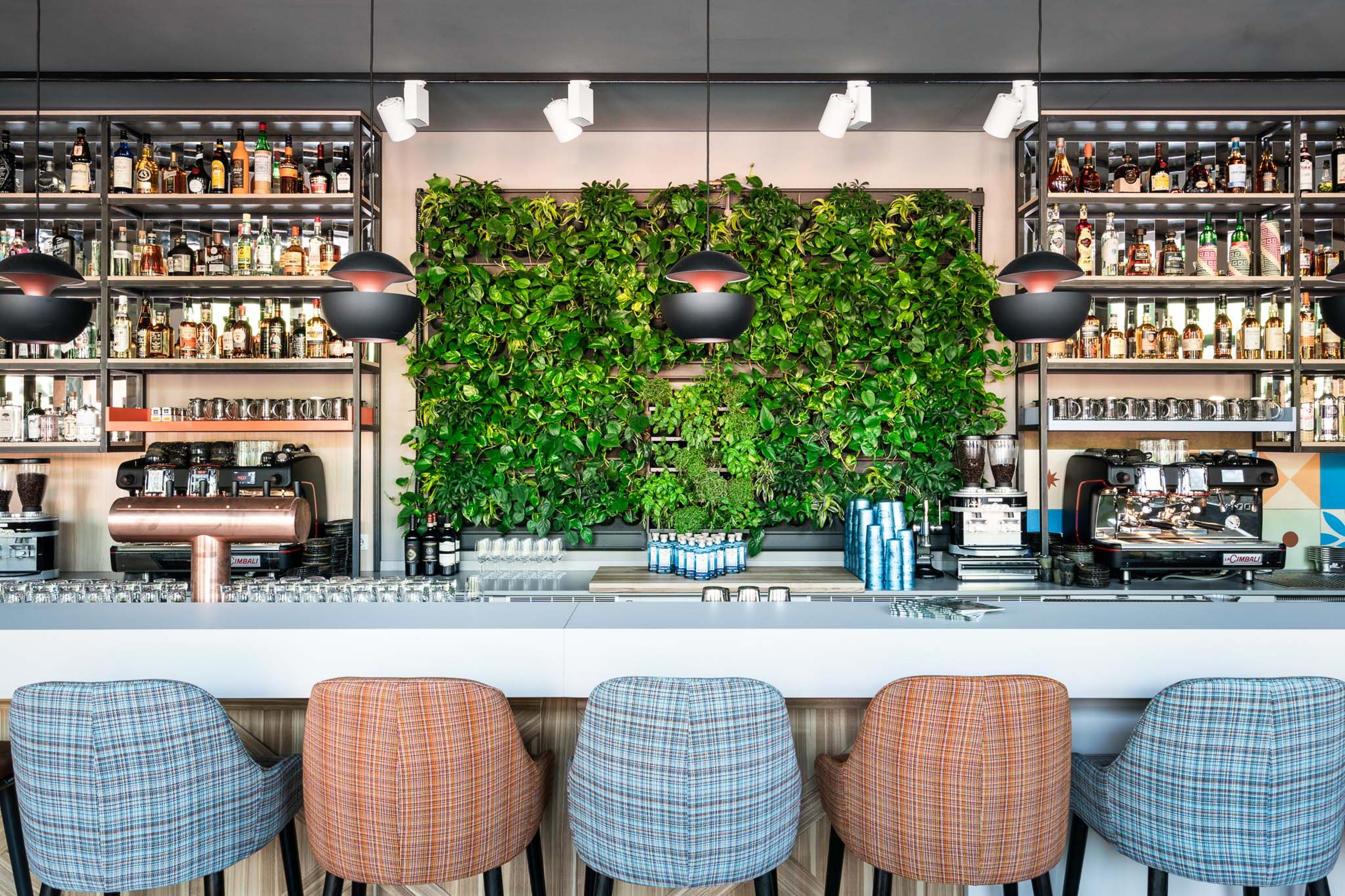 Hotel FREIgeist Göttingen Innenstadt by null