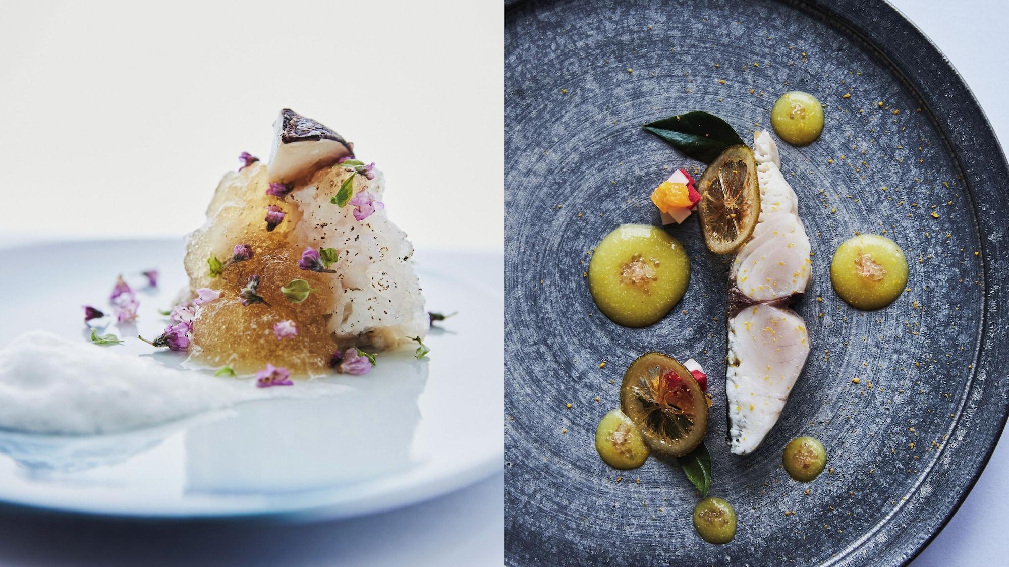 SETOUCH RETREAT by Onko Chishin by null