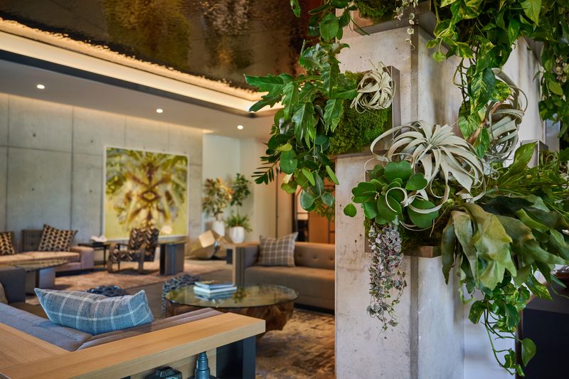The Loren Hotel Austin