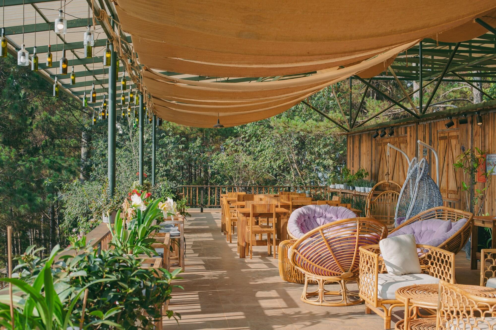 Lavender Dalat