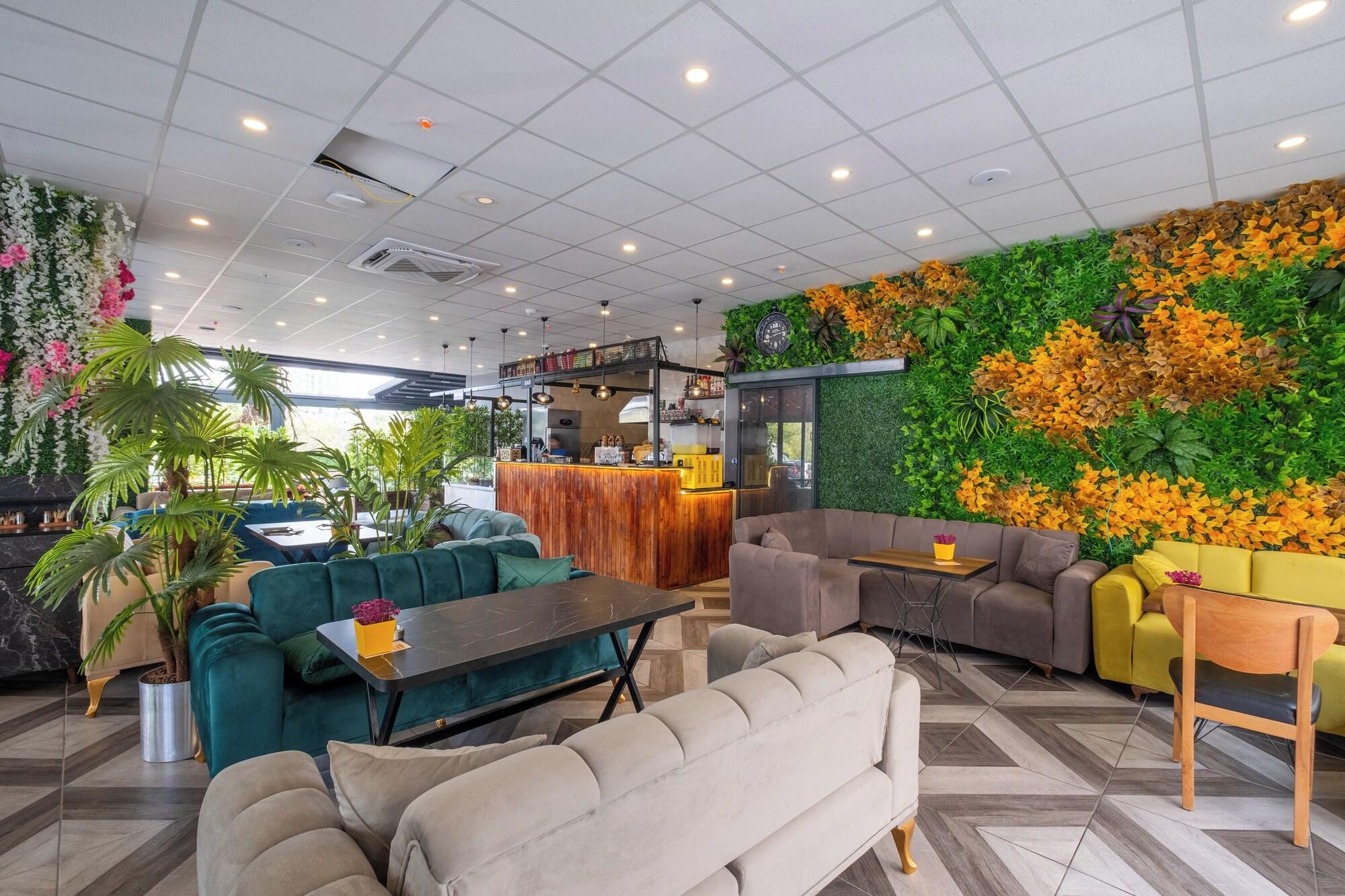 216 Star Suite
