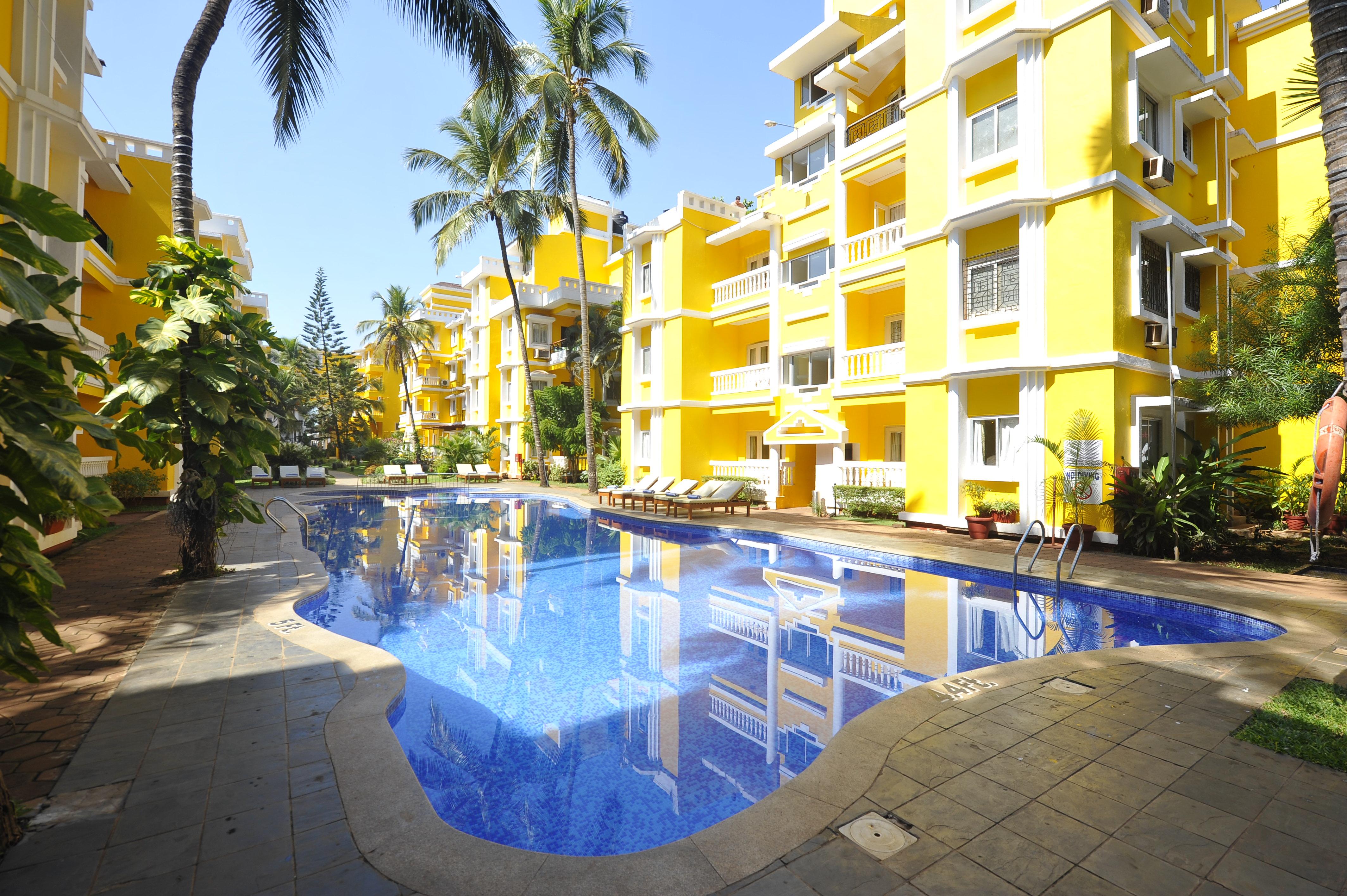 Adamo The Bellus - photo