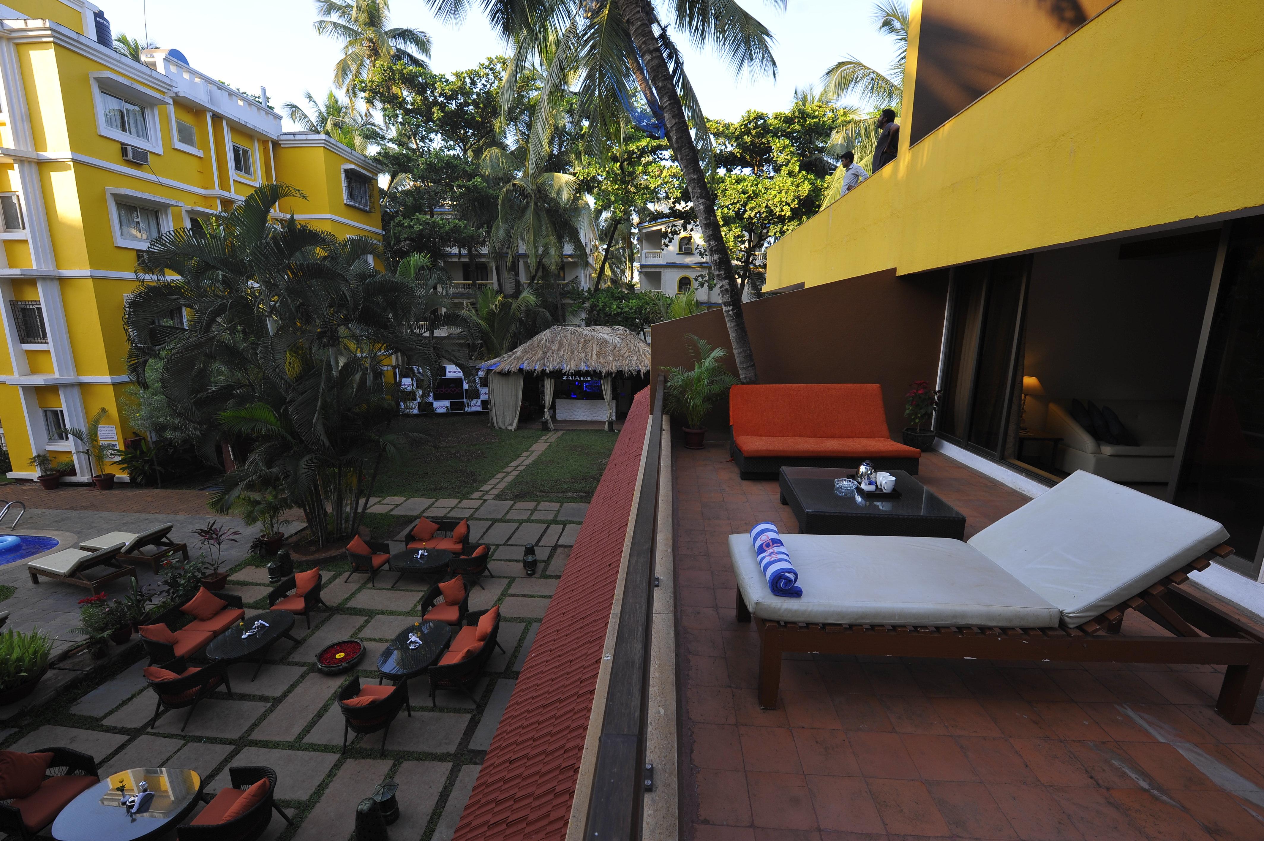 Adamo The Bellus - photo