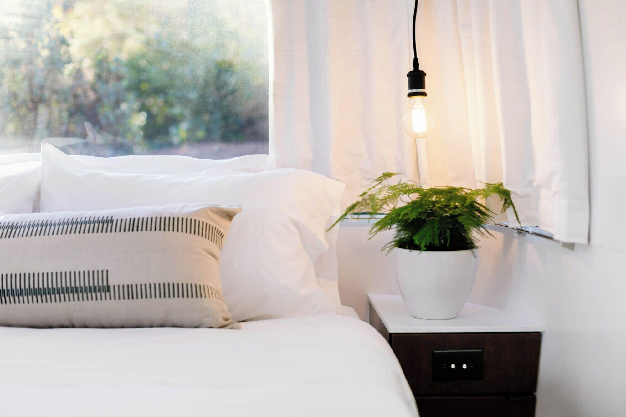 AutoCamp Sequoia by null