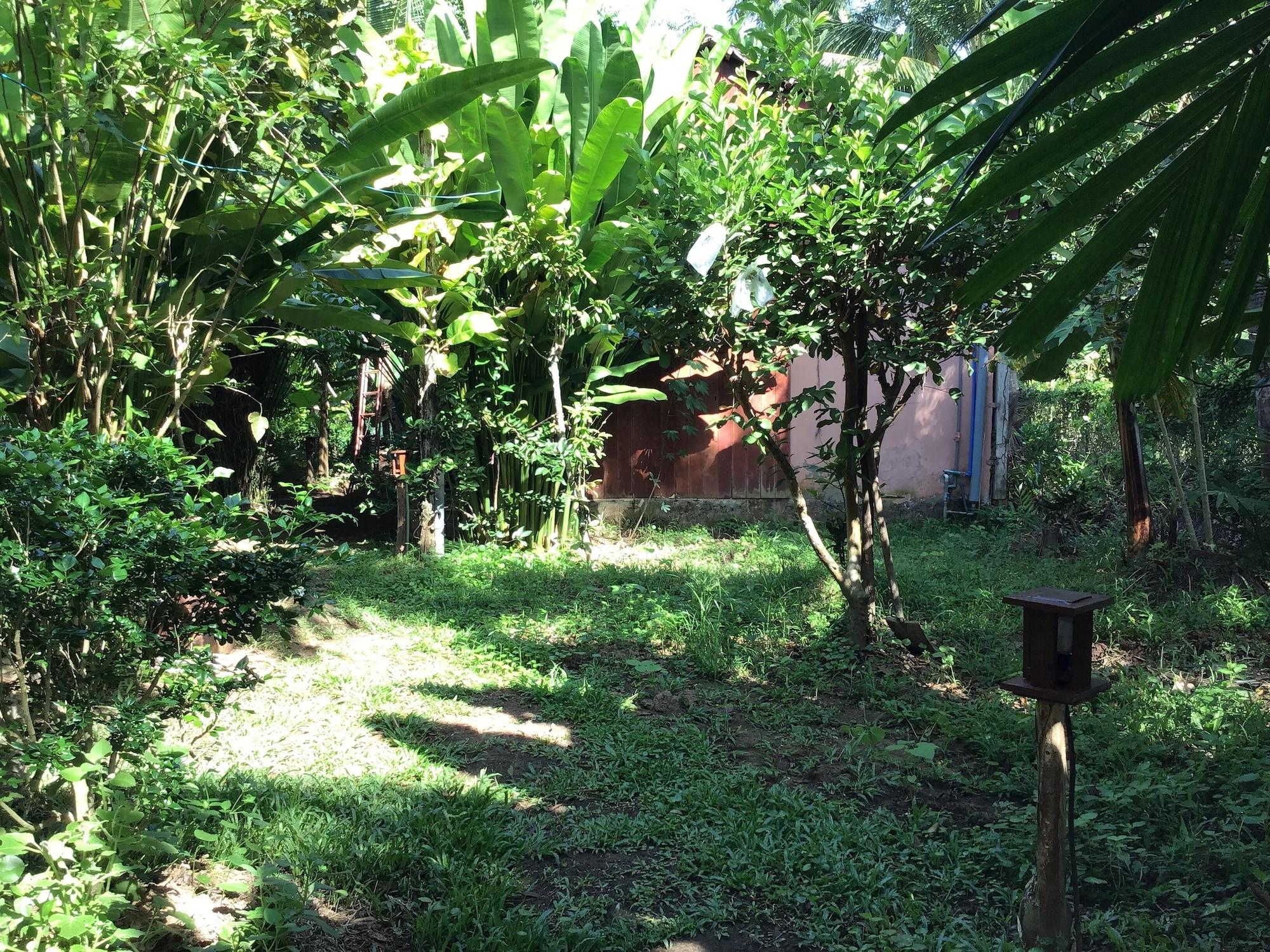 General view