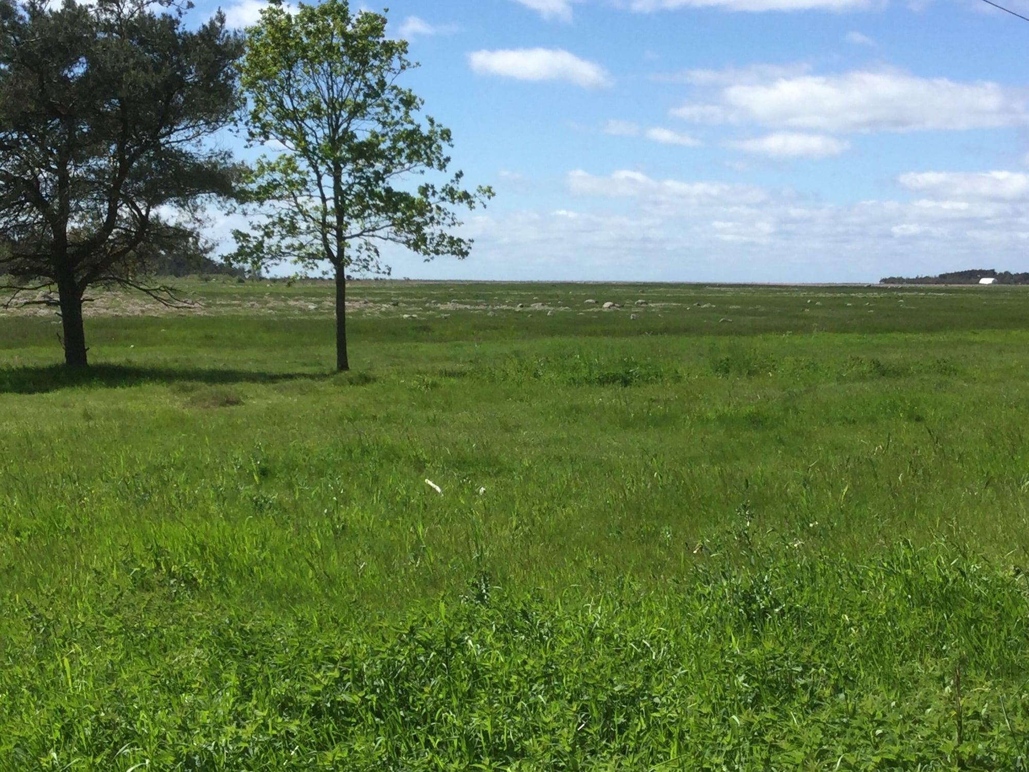 General view 2, Pilegaarden, Læsø