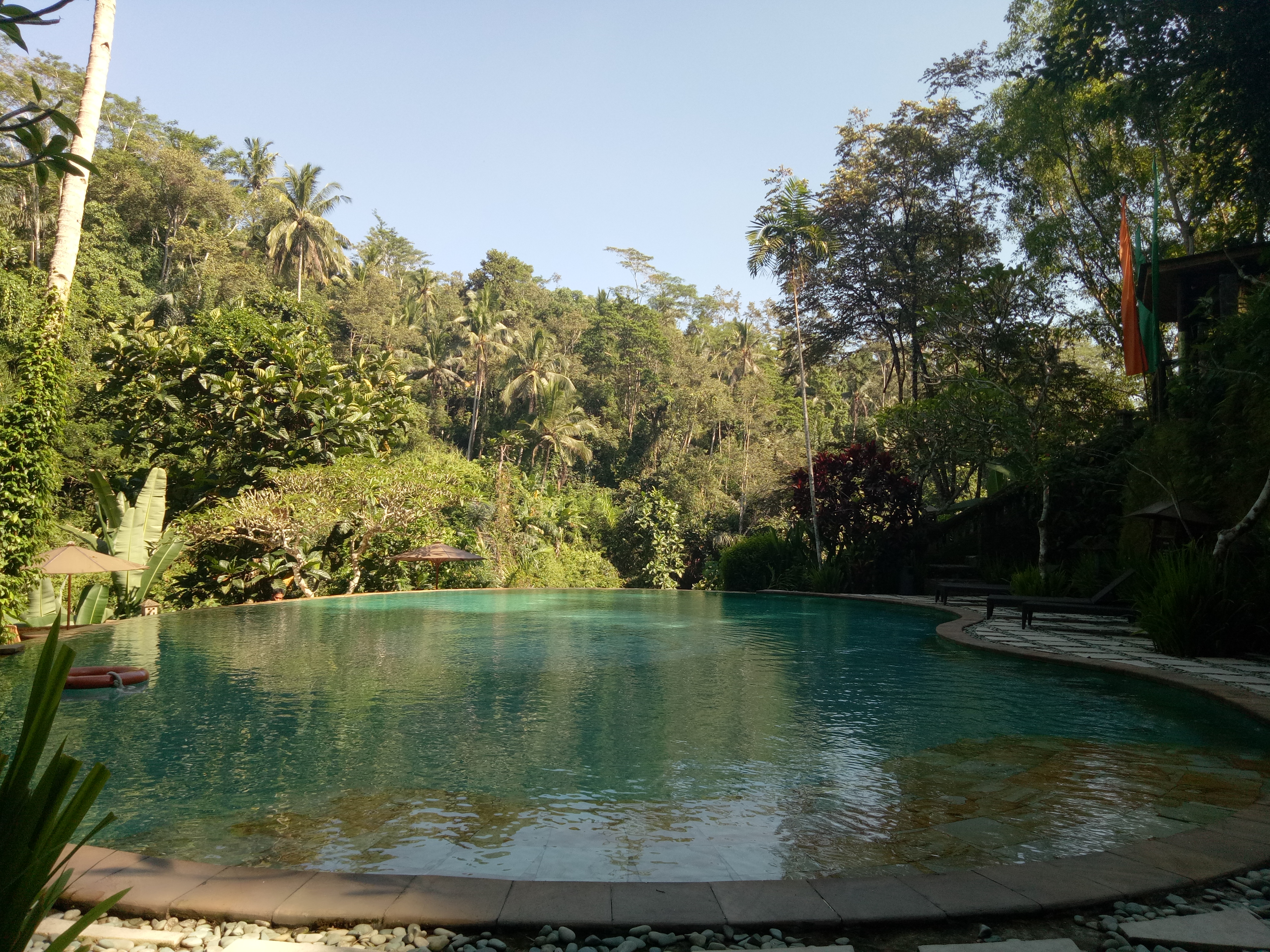 Anahata Ubud Vilas & spa - nuotrauka