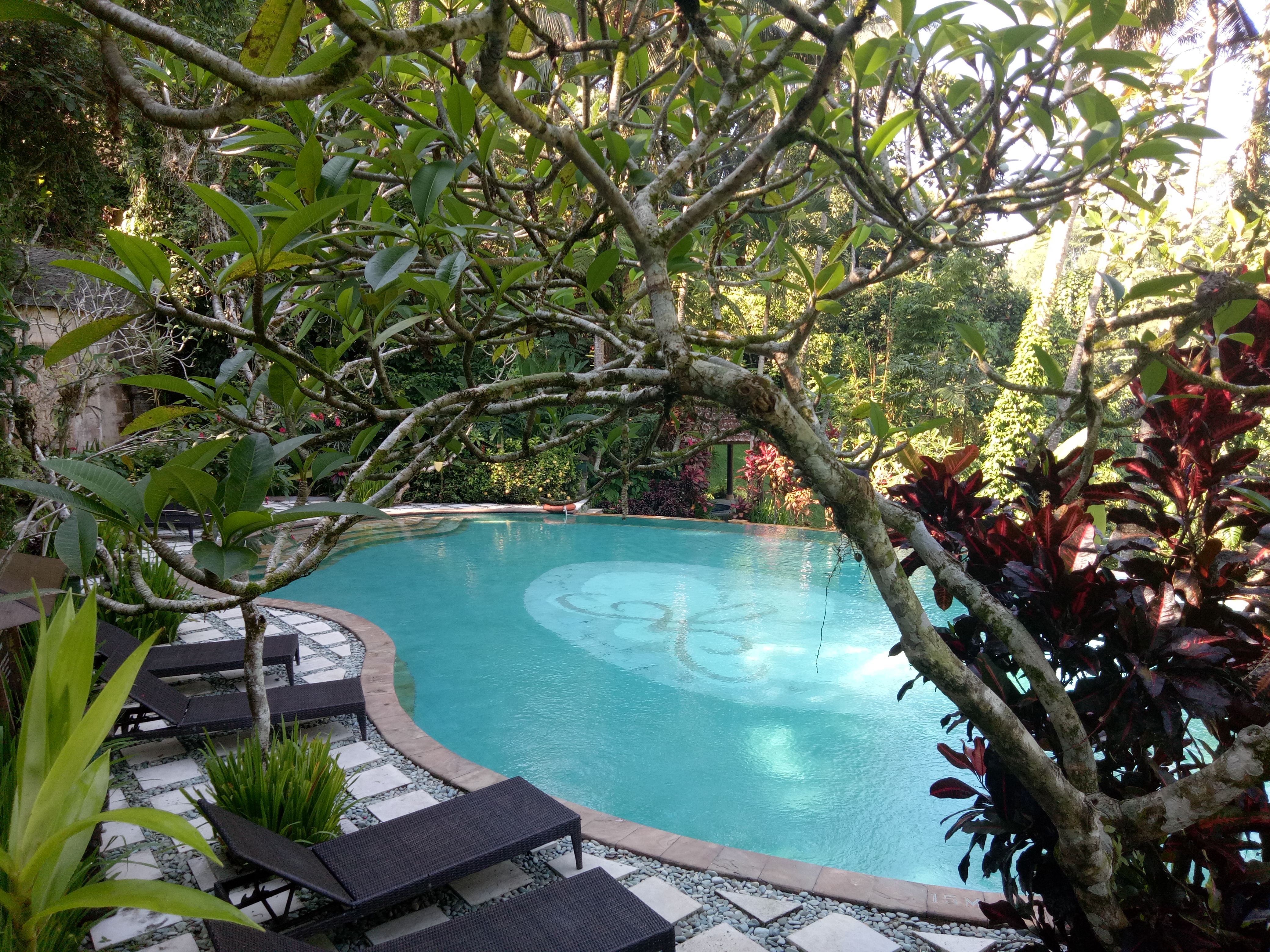 Anahata Ubud Vilas & spa - nuotrauka