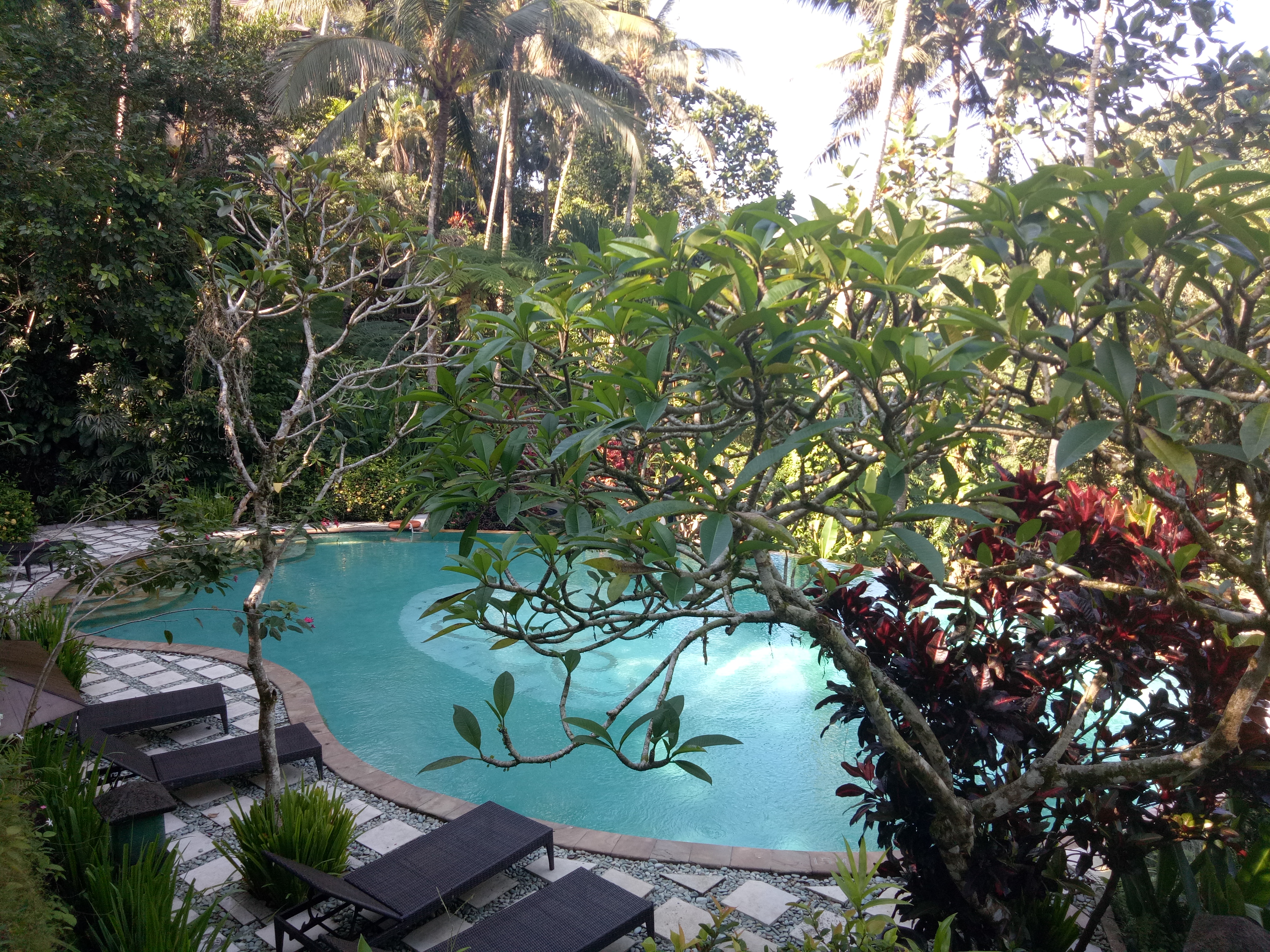 Anahata Ubud Vilas & spa - nuotrauka