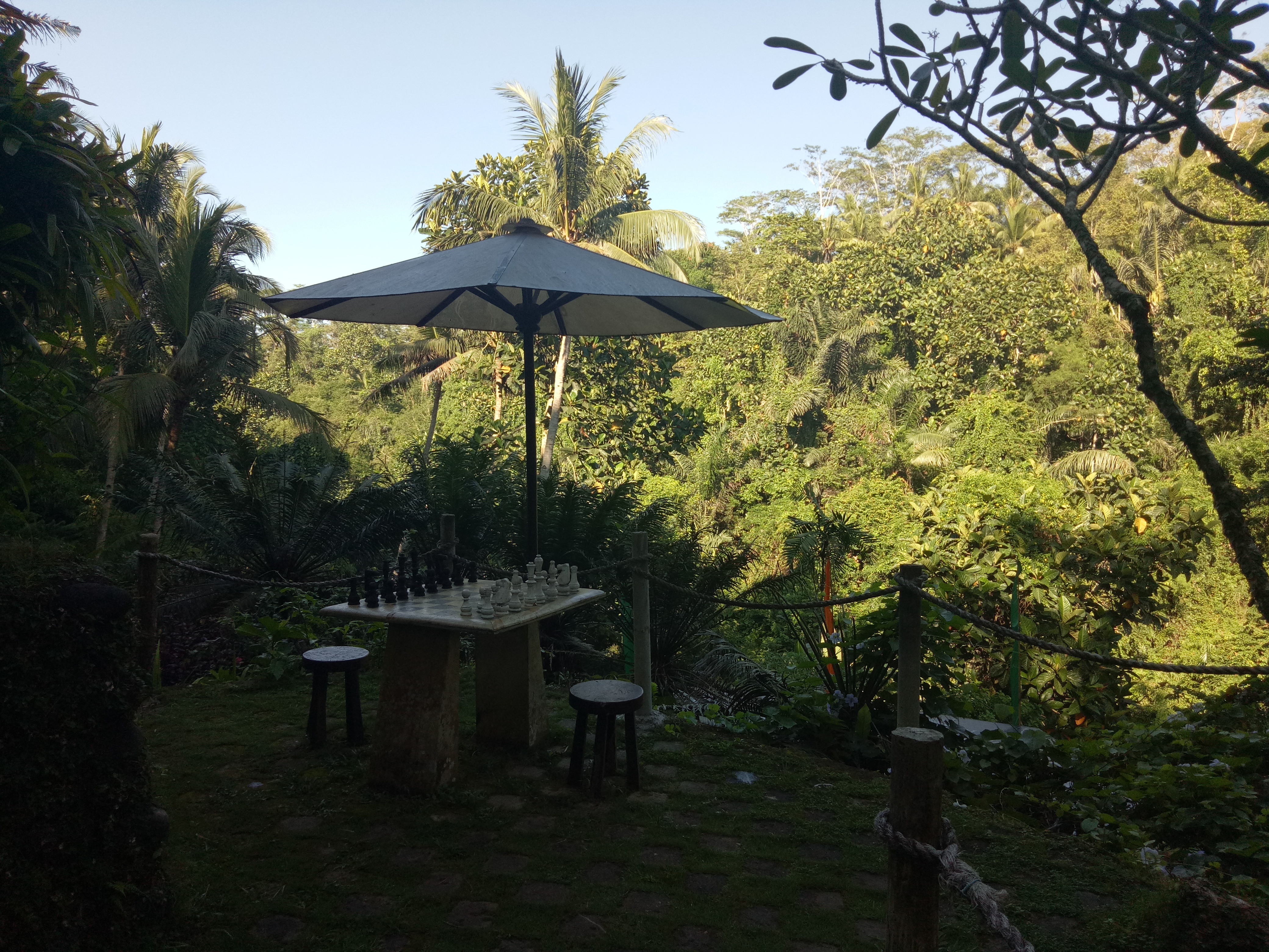 Anahata Ubud Vilas & spa - nuotrauka