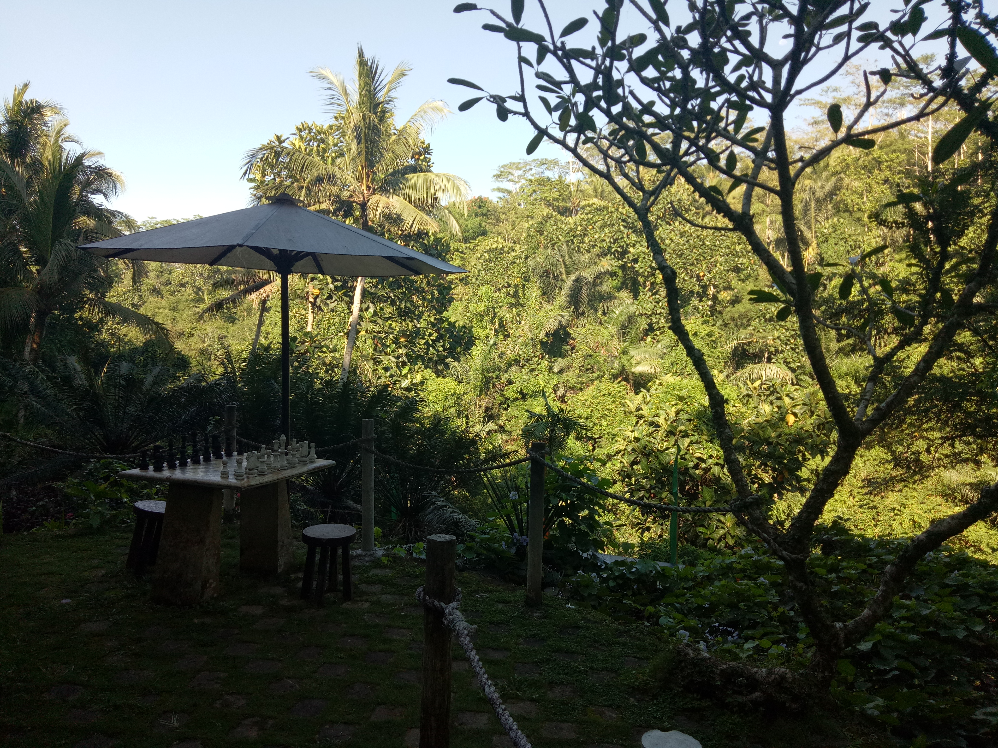 Anahata Ubud Vilas & spa - nuotrauka