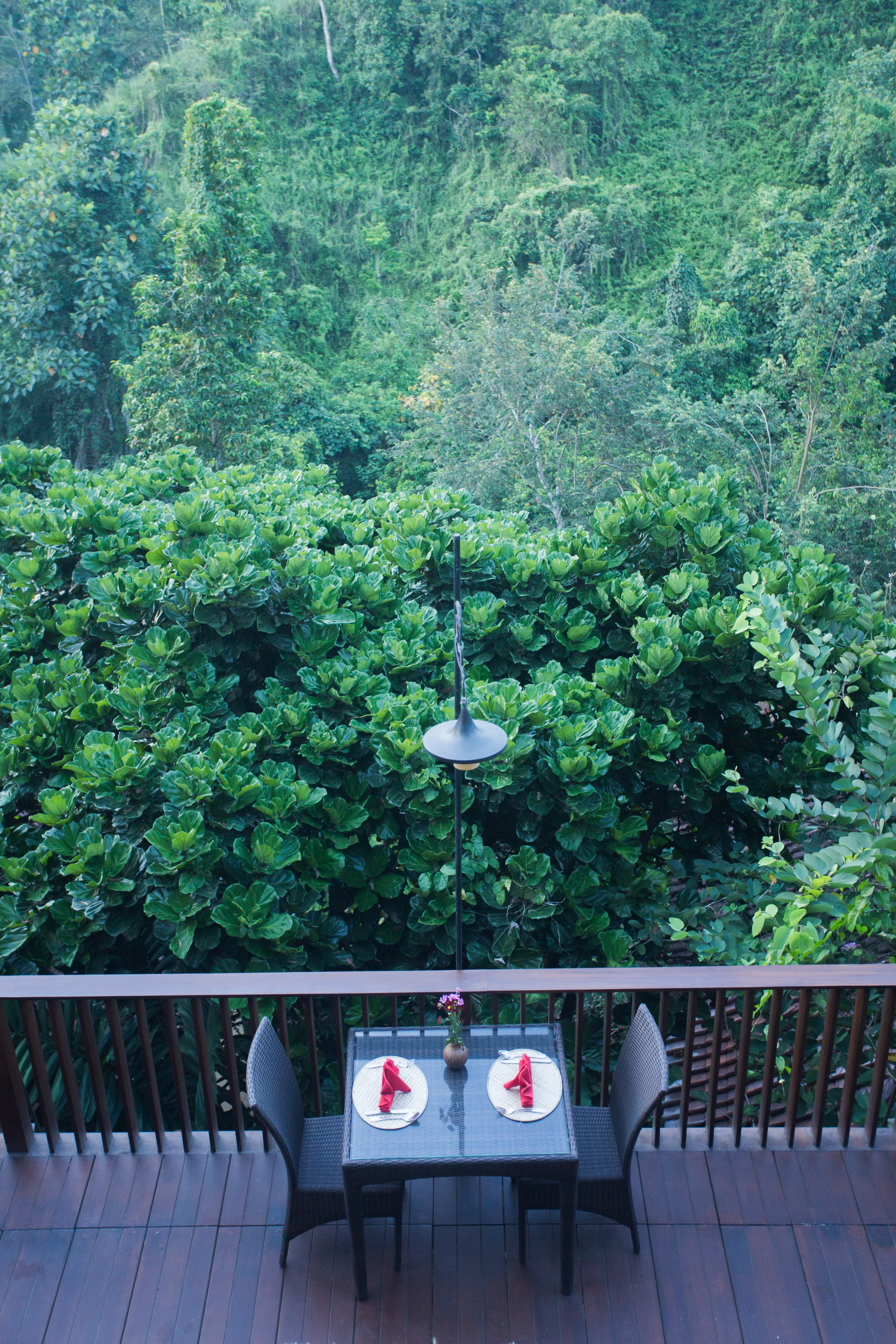 Anahata Ubud Vilas & spa - nuotrauka