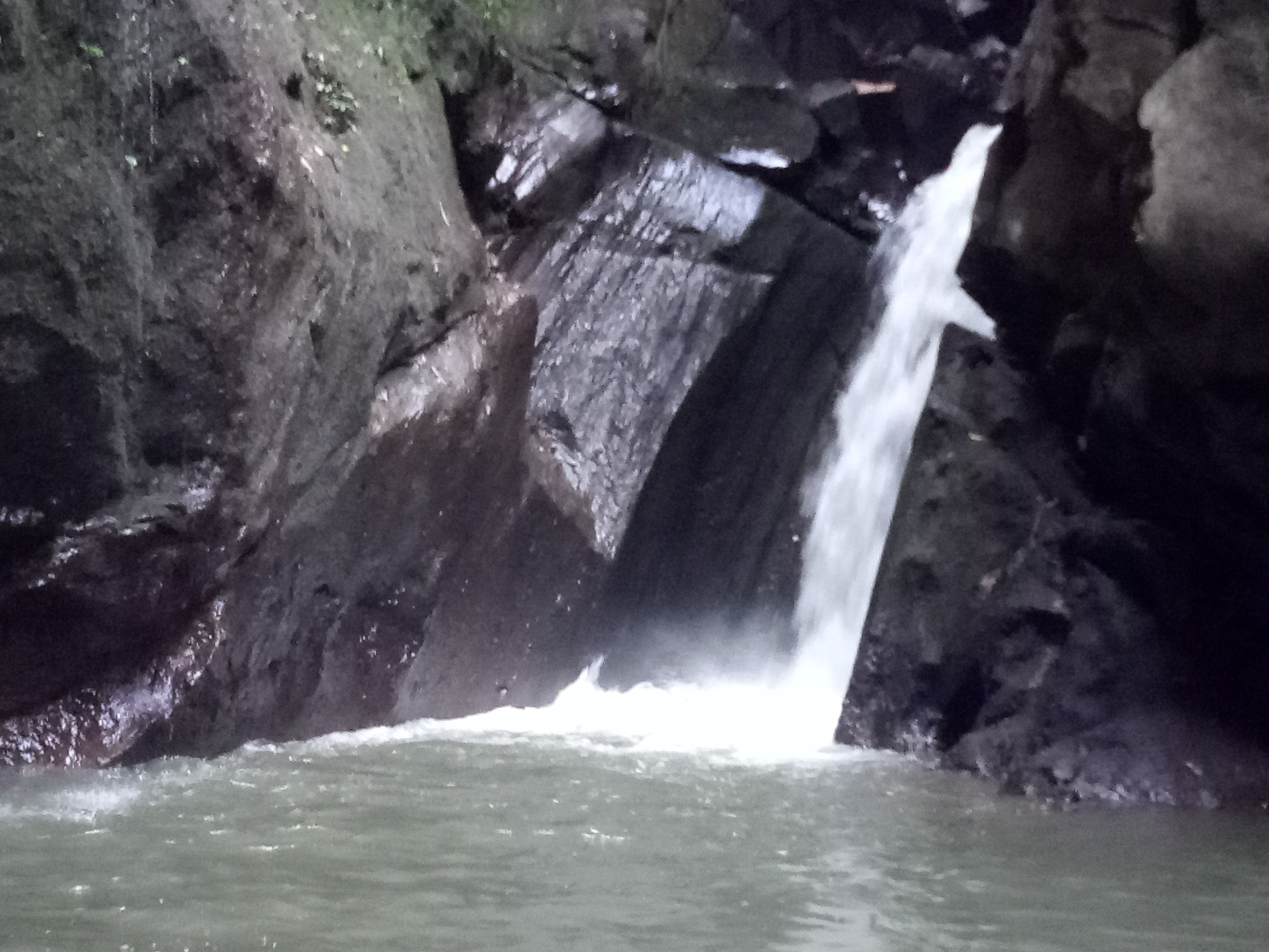 Anahata Ubud Vilas & spa - nuotrauka