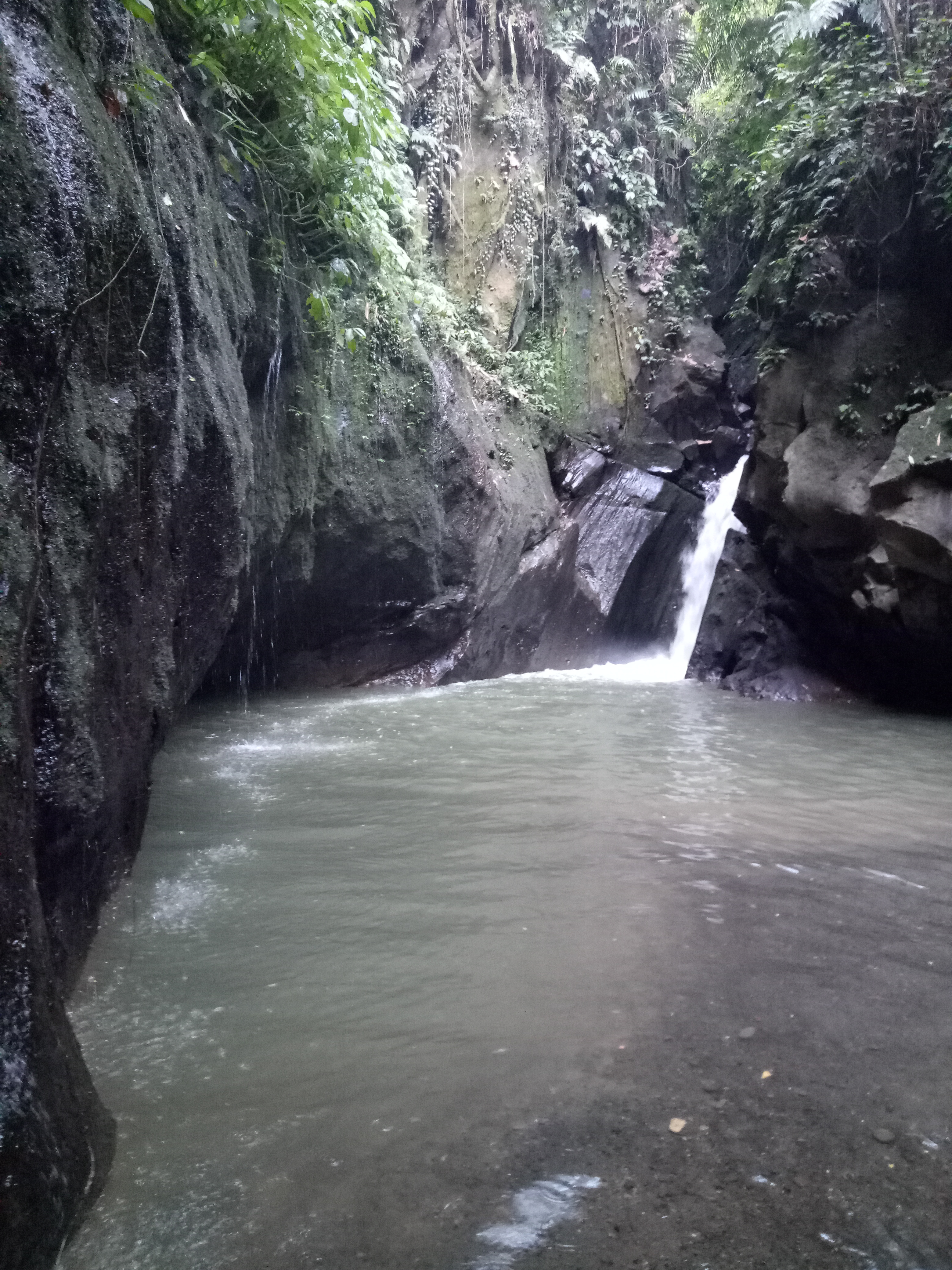Anahata Ubud Vilas & spa - nuotrauka
