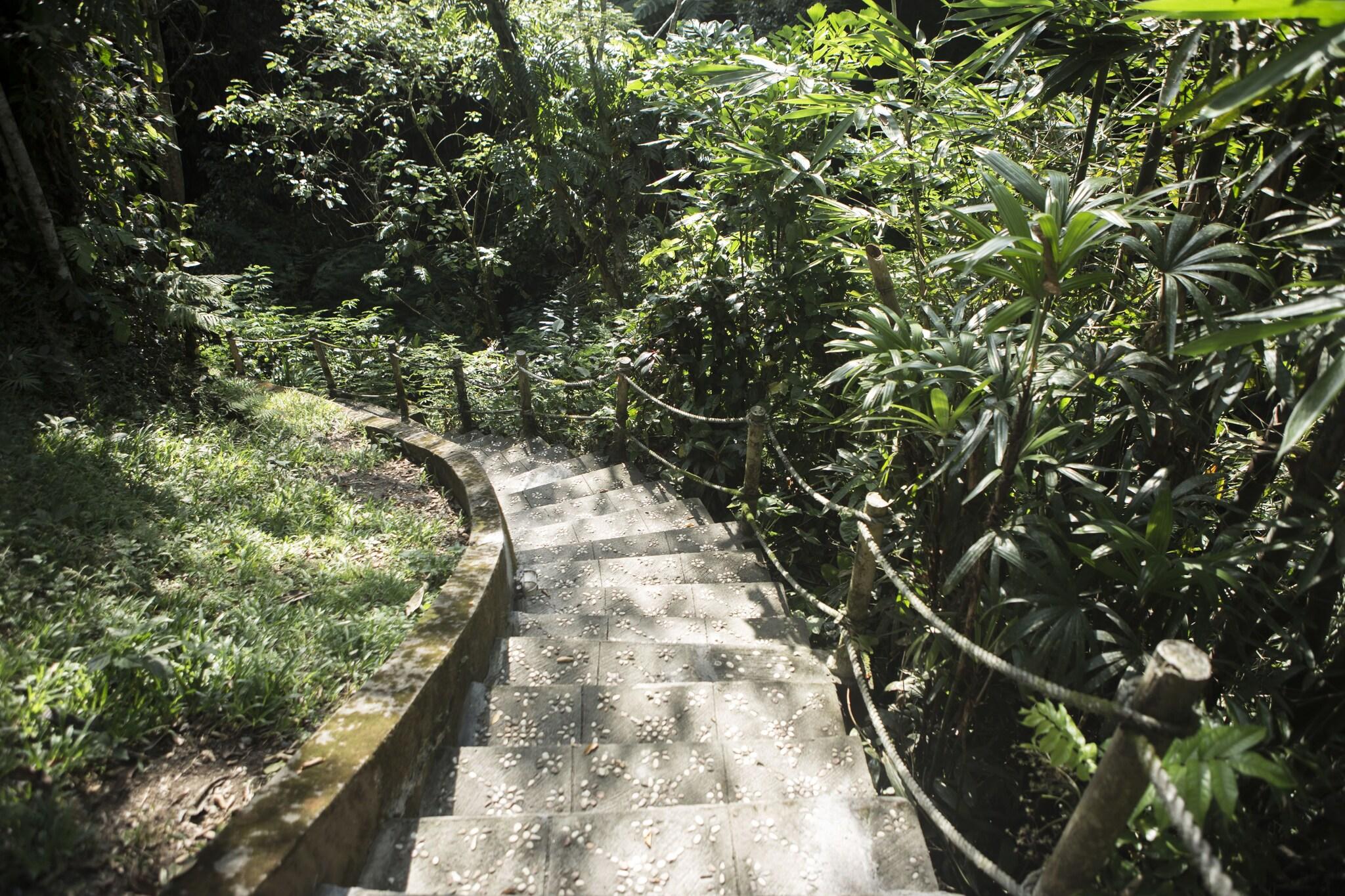 Anahata Ubud Vilas & spa - nuotrauka