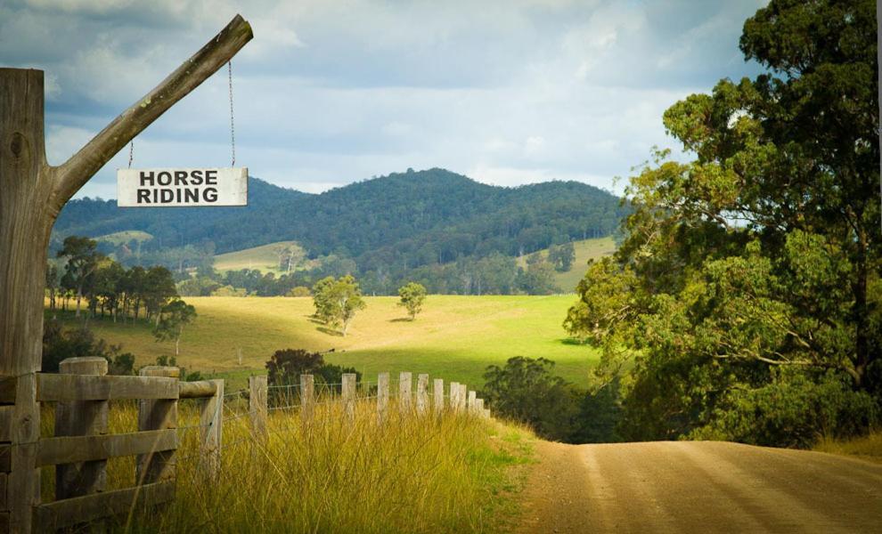 General view 2, Riverwood Downs Of Barrington Tops, Great Lakes