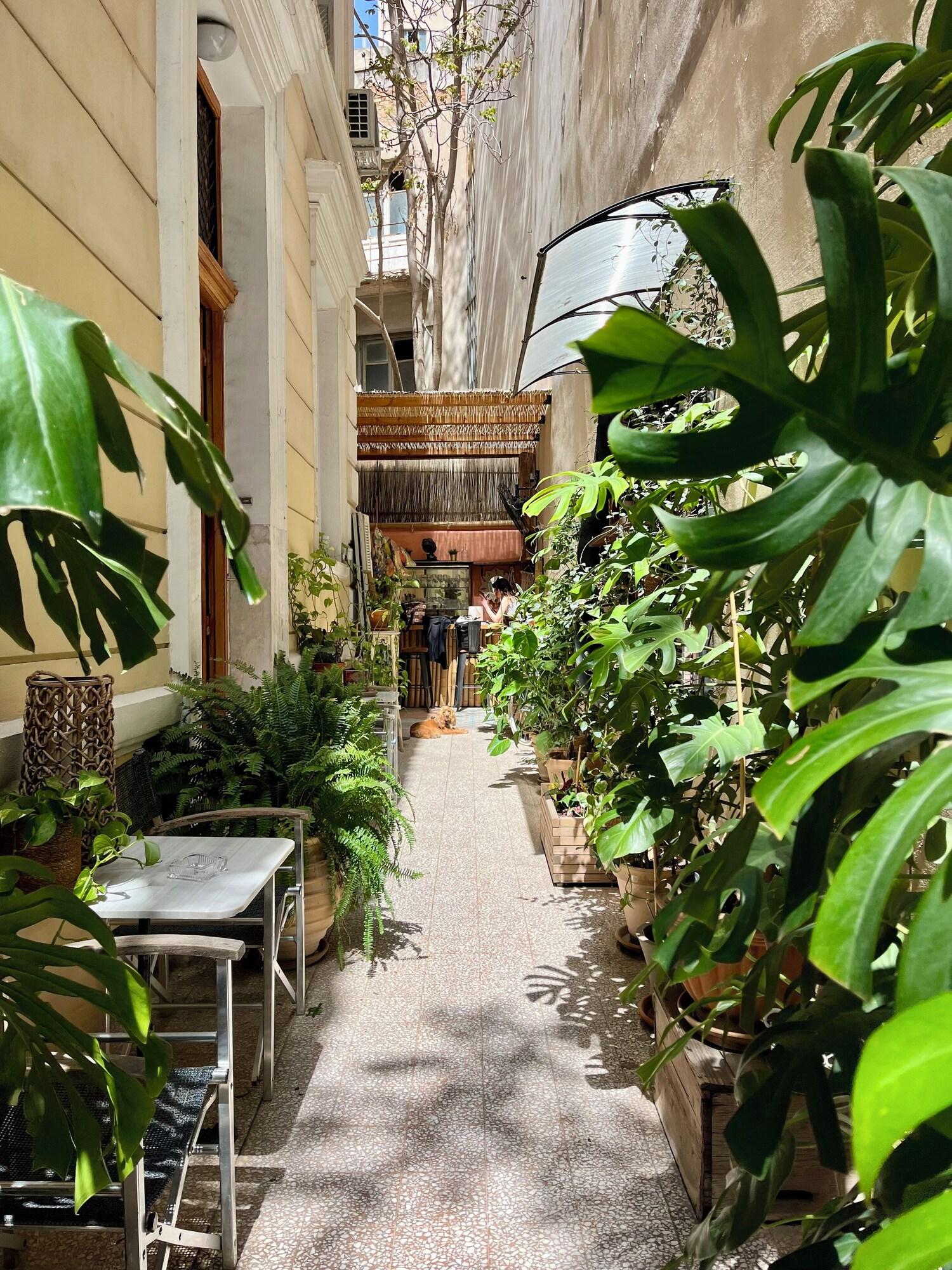 Baloo Hostel