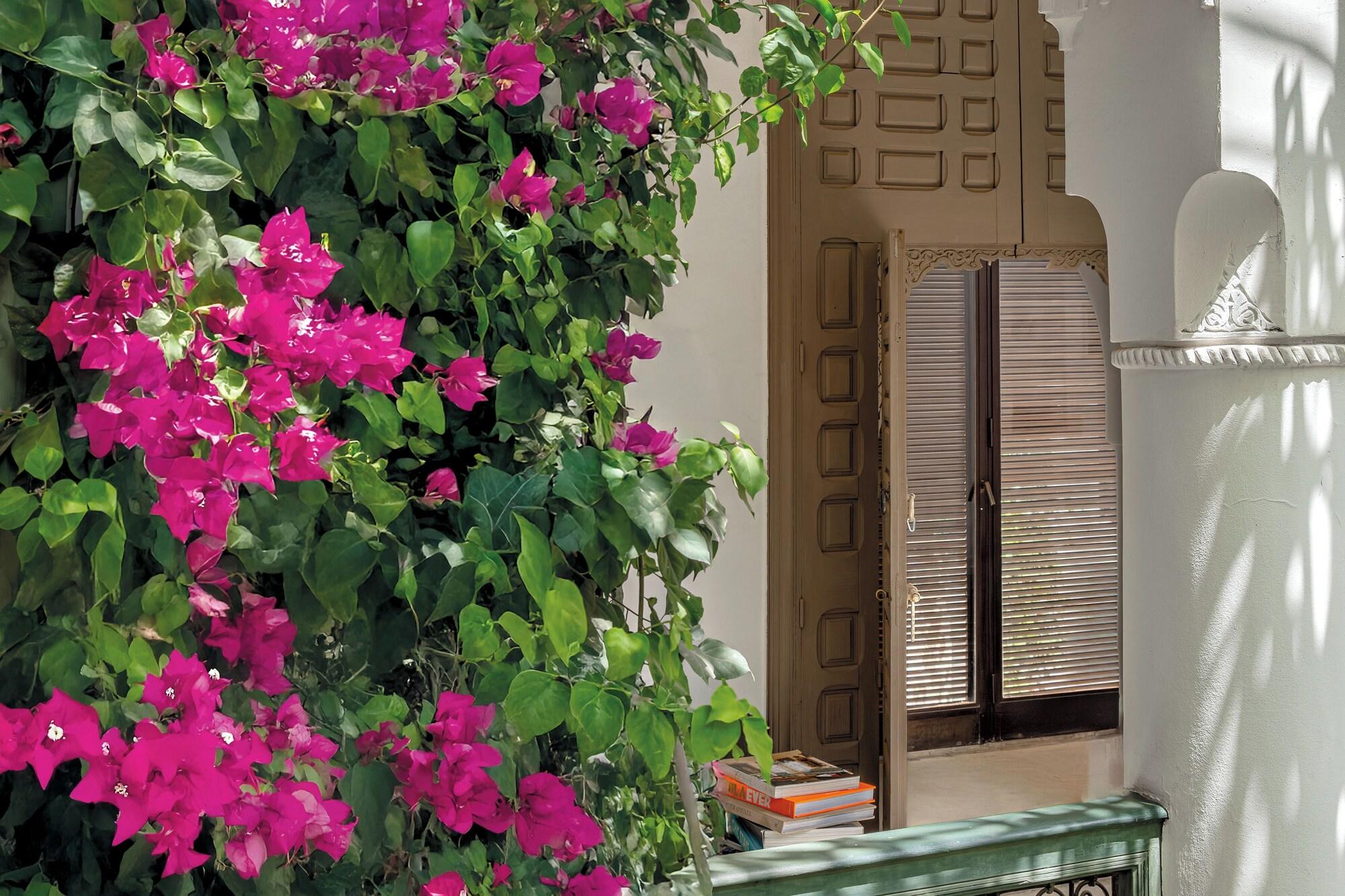 Riad Jaaneman by null