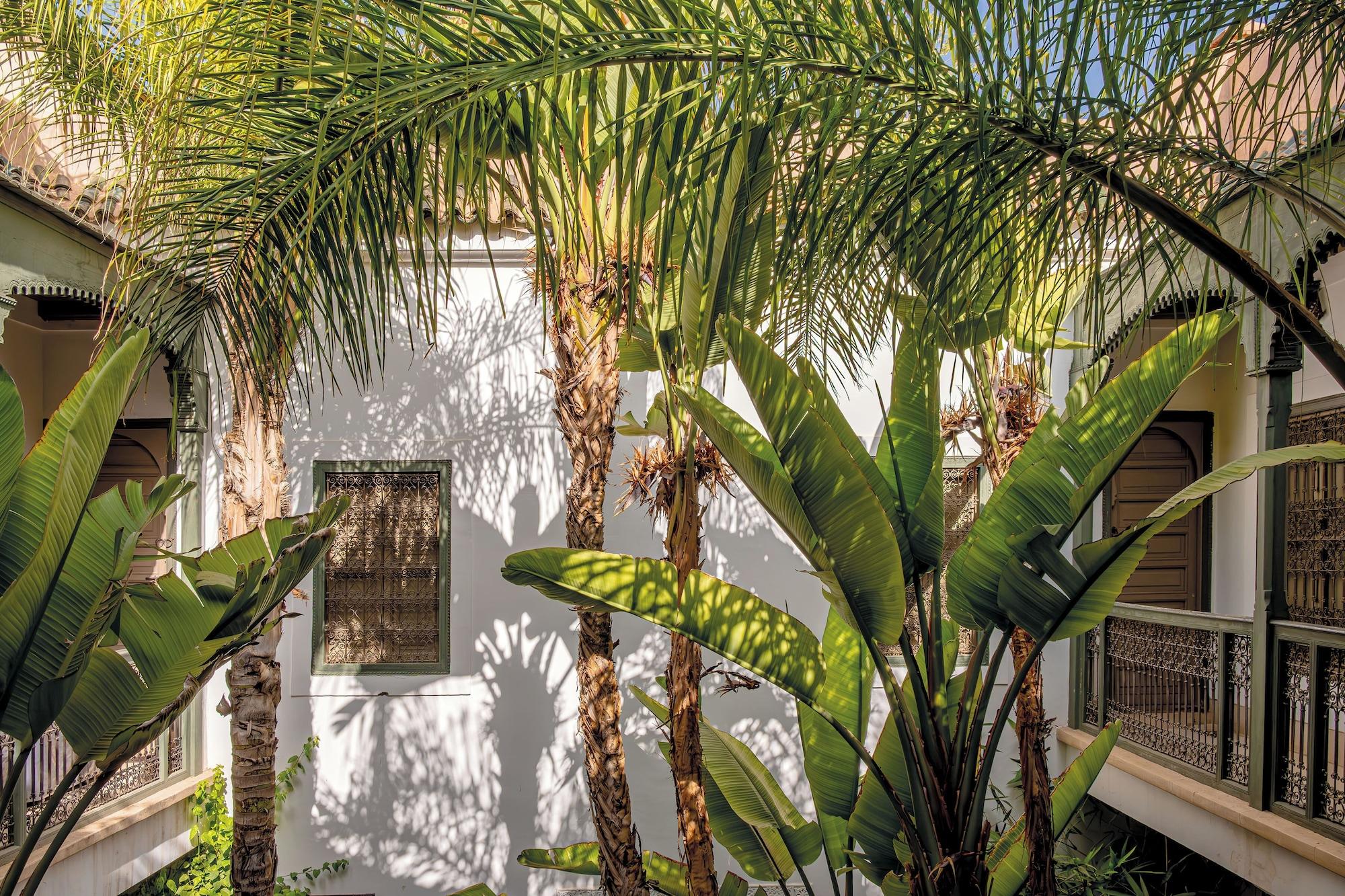 Riad Jaaneman by null