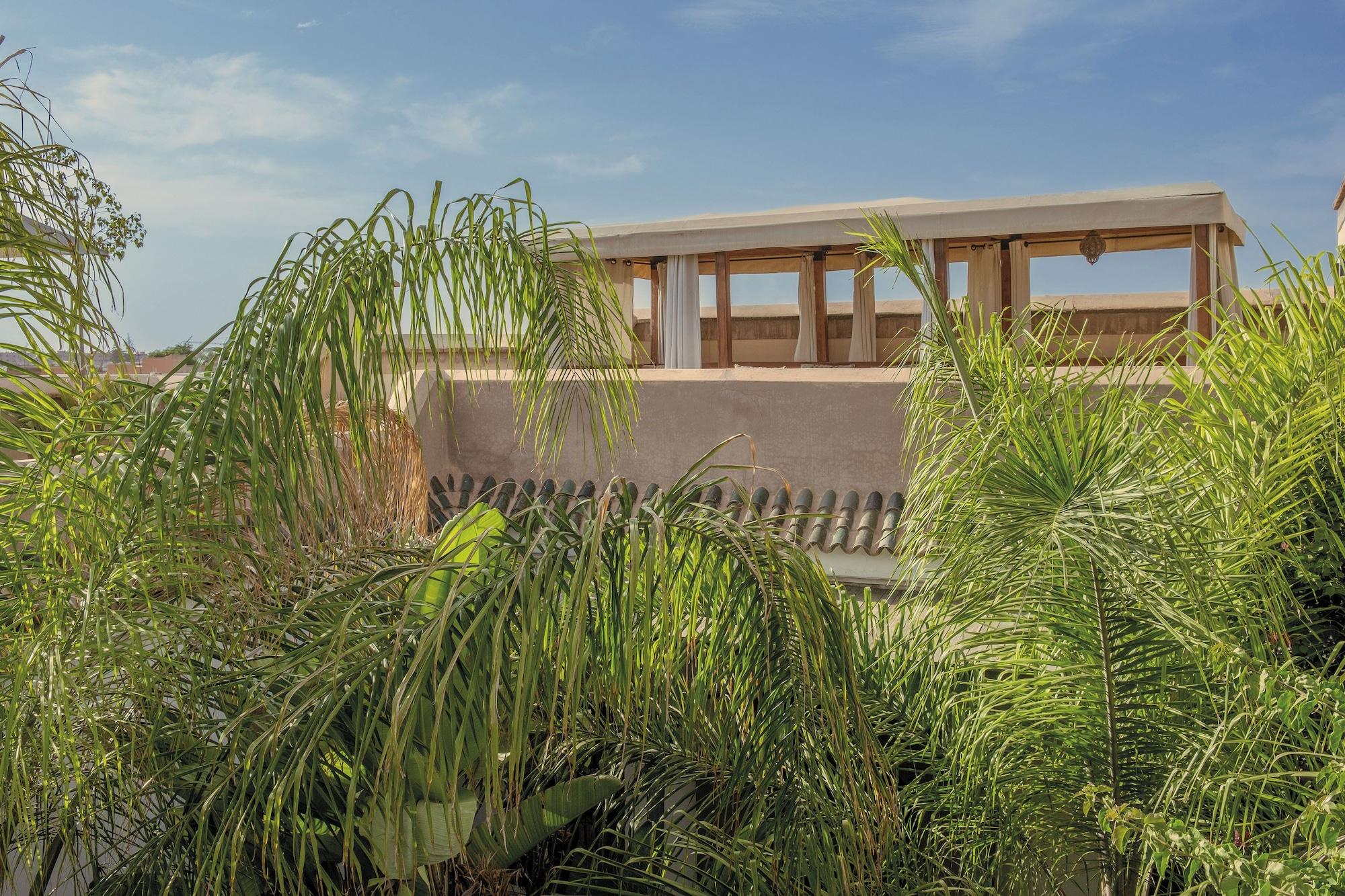 Riad Jaaneman by null